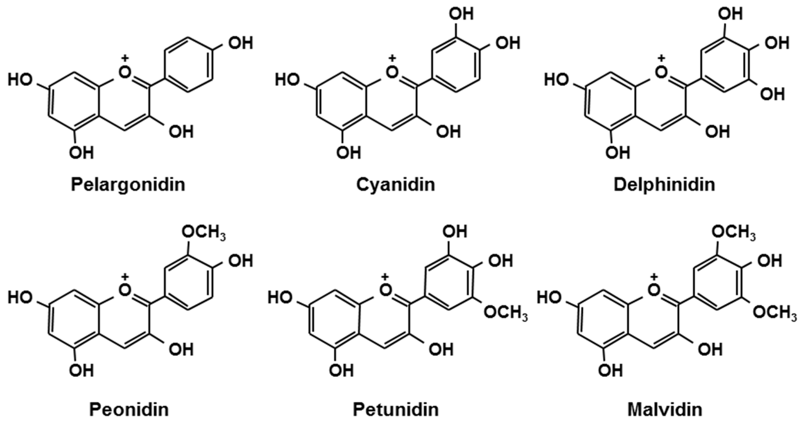 Antioxidants 05 00013 g001