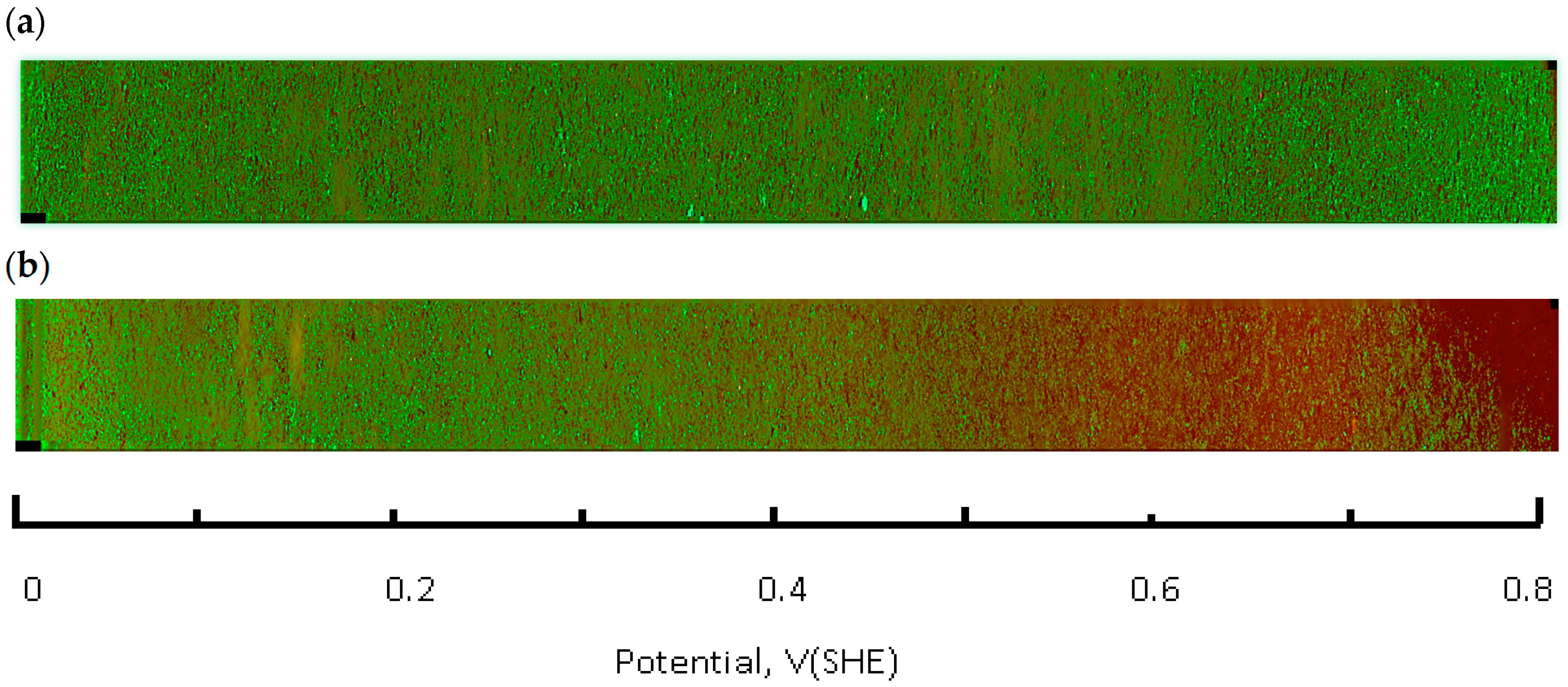 Antioxidants 05 00023 g004a 1024
