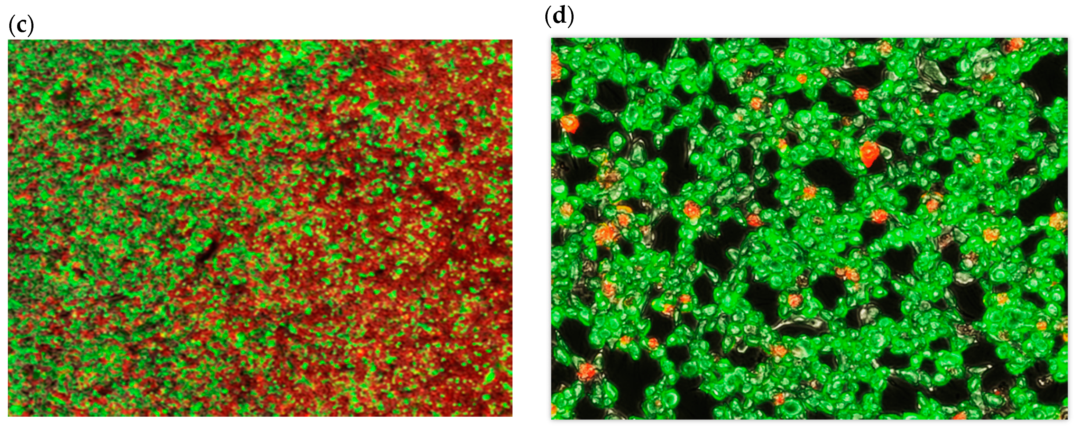 Antioxidants 05 00023 g004b 1024