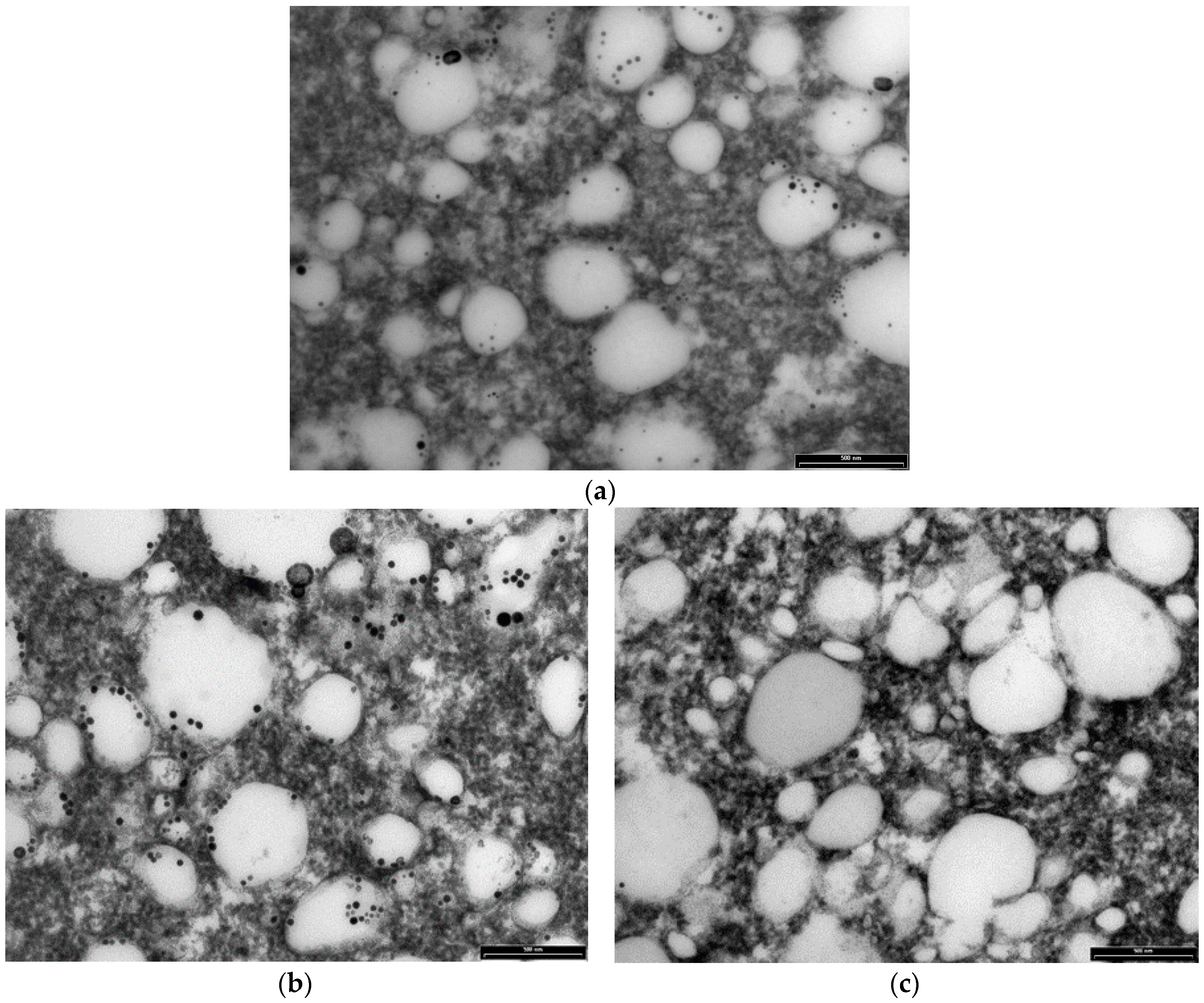 Antioxidants 05 00029 g006 1024
