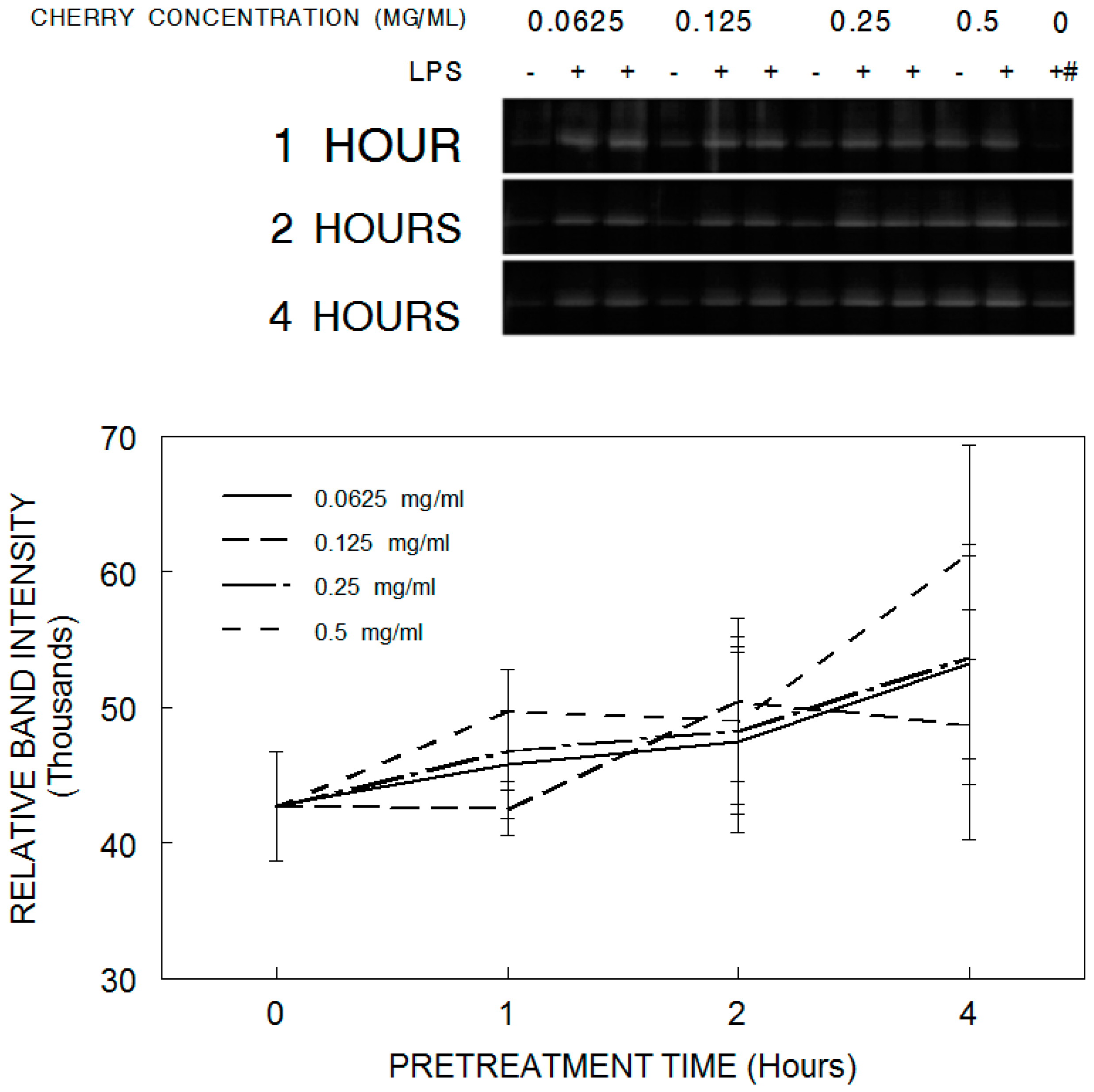 Antioxidants 05 00033 g002