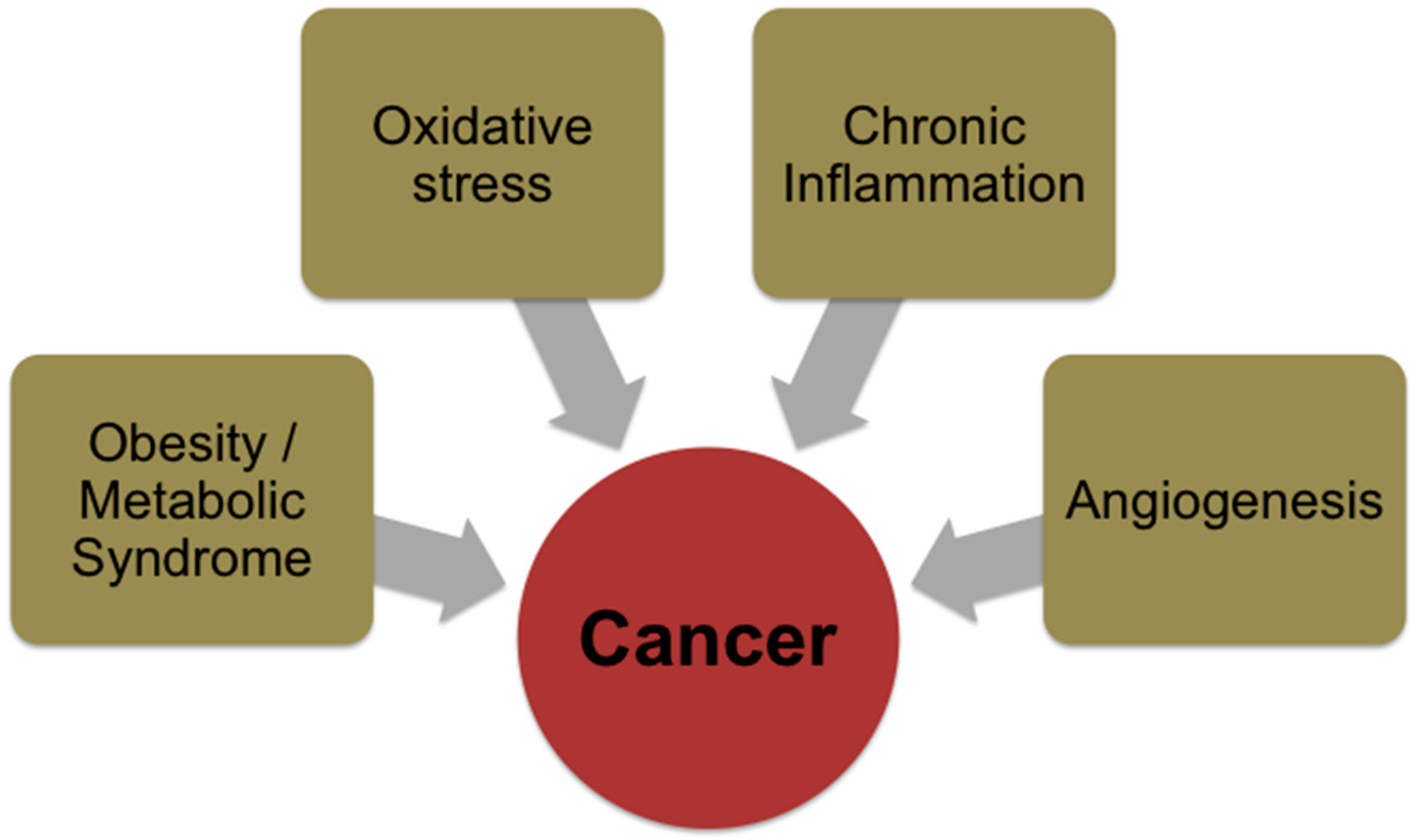 Antioxidants 05 00037 g002
