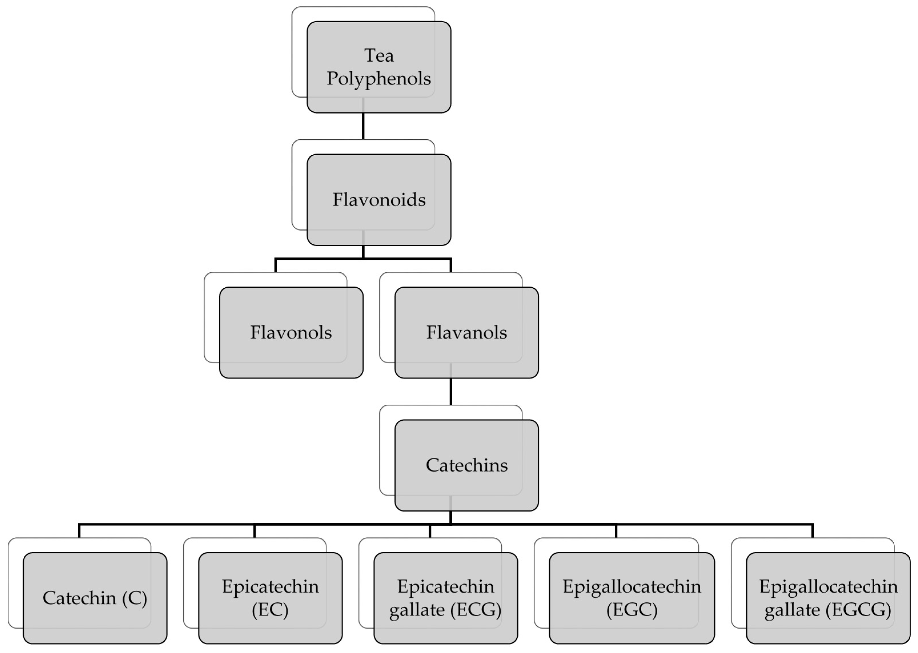 Antioxidants Free Full Text Green Tea And Other Tea Polyphenols Effects On Sebum Production And Acne Vulgaris
