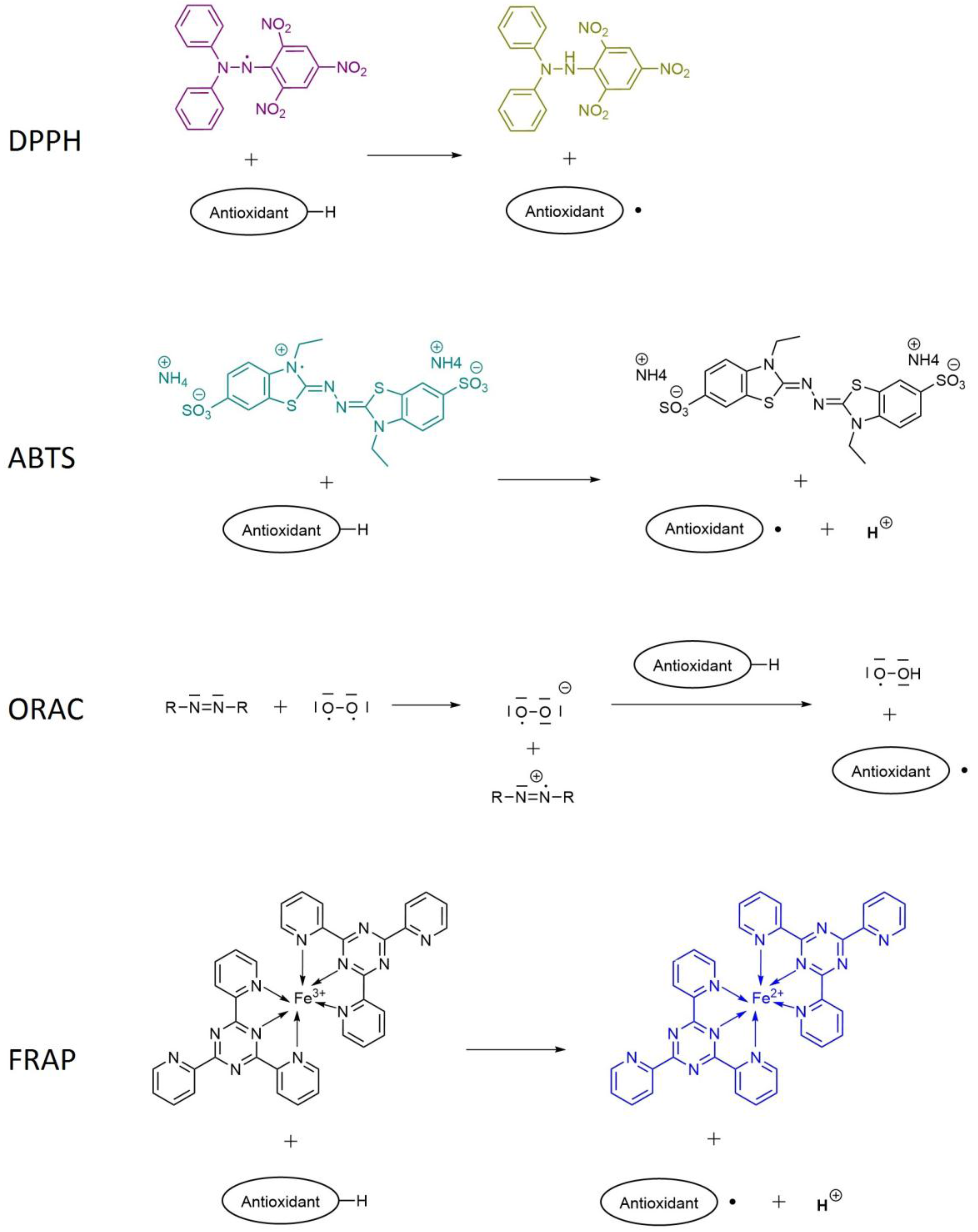 Antioxidants 06 00007 g005 550