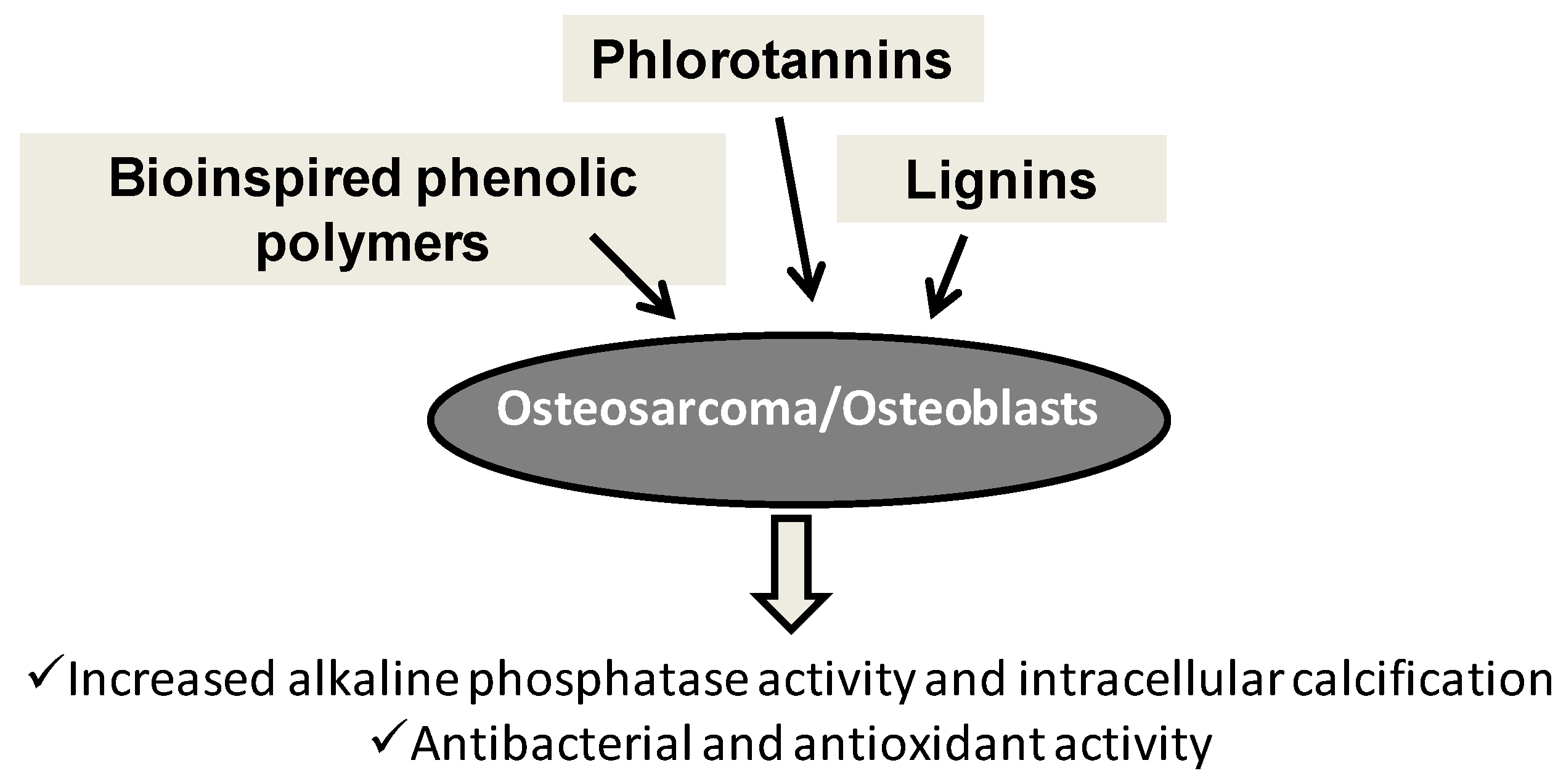 Antioxidants 06 00030 g009