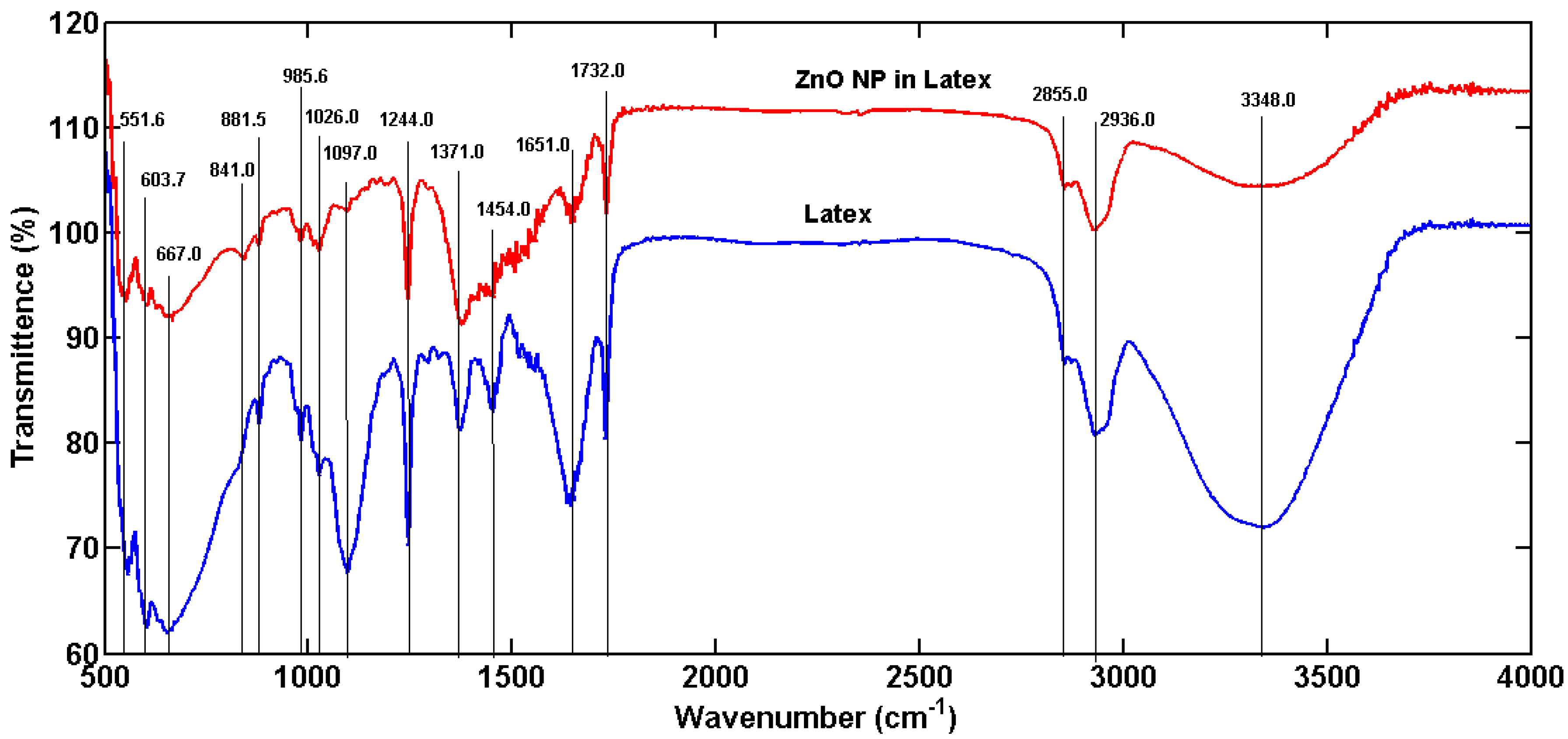 Antioxidants 06 00035 g005
