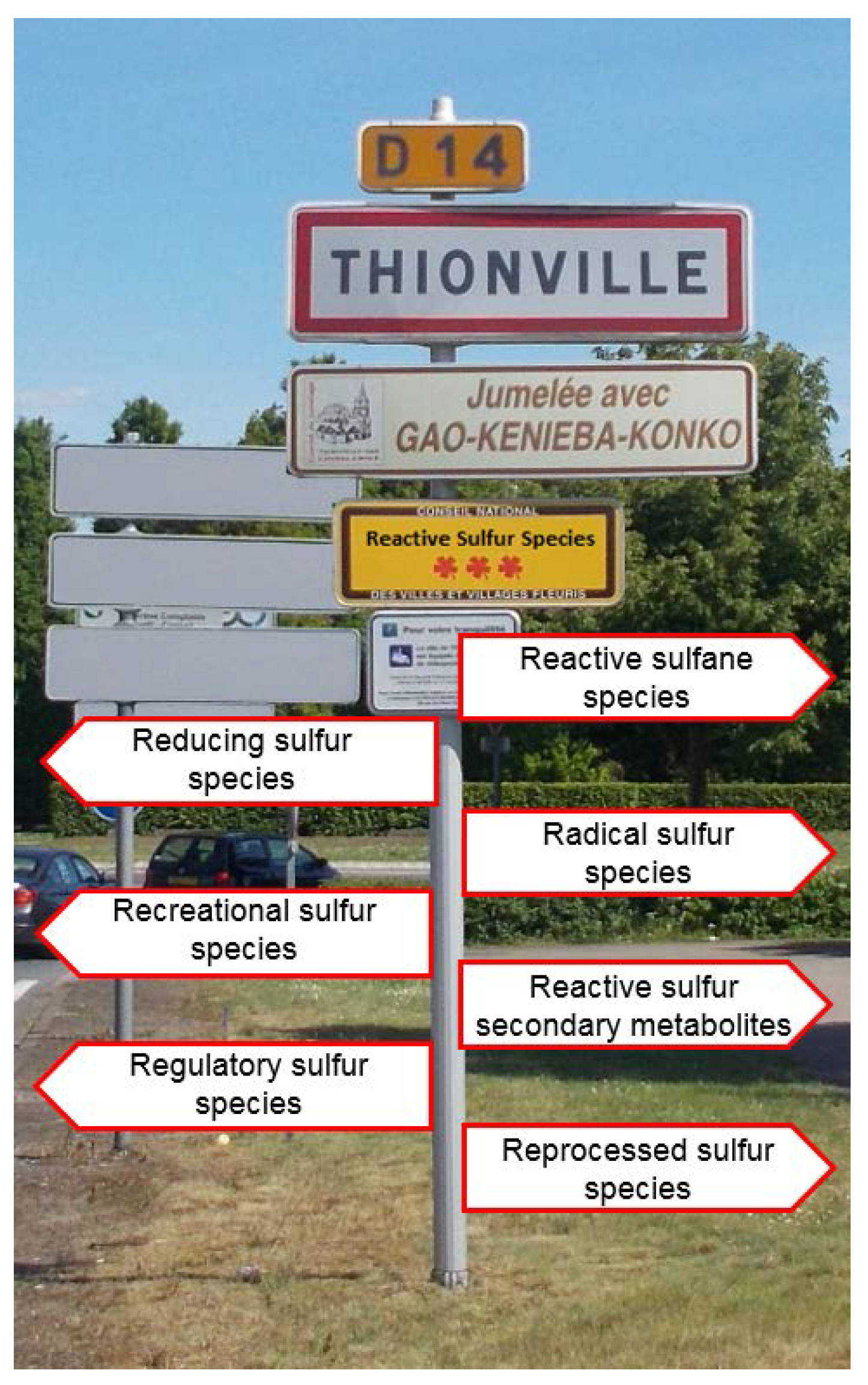 Antioxidants 06 00038 g003 550