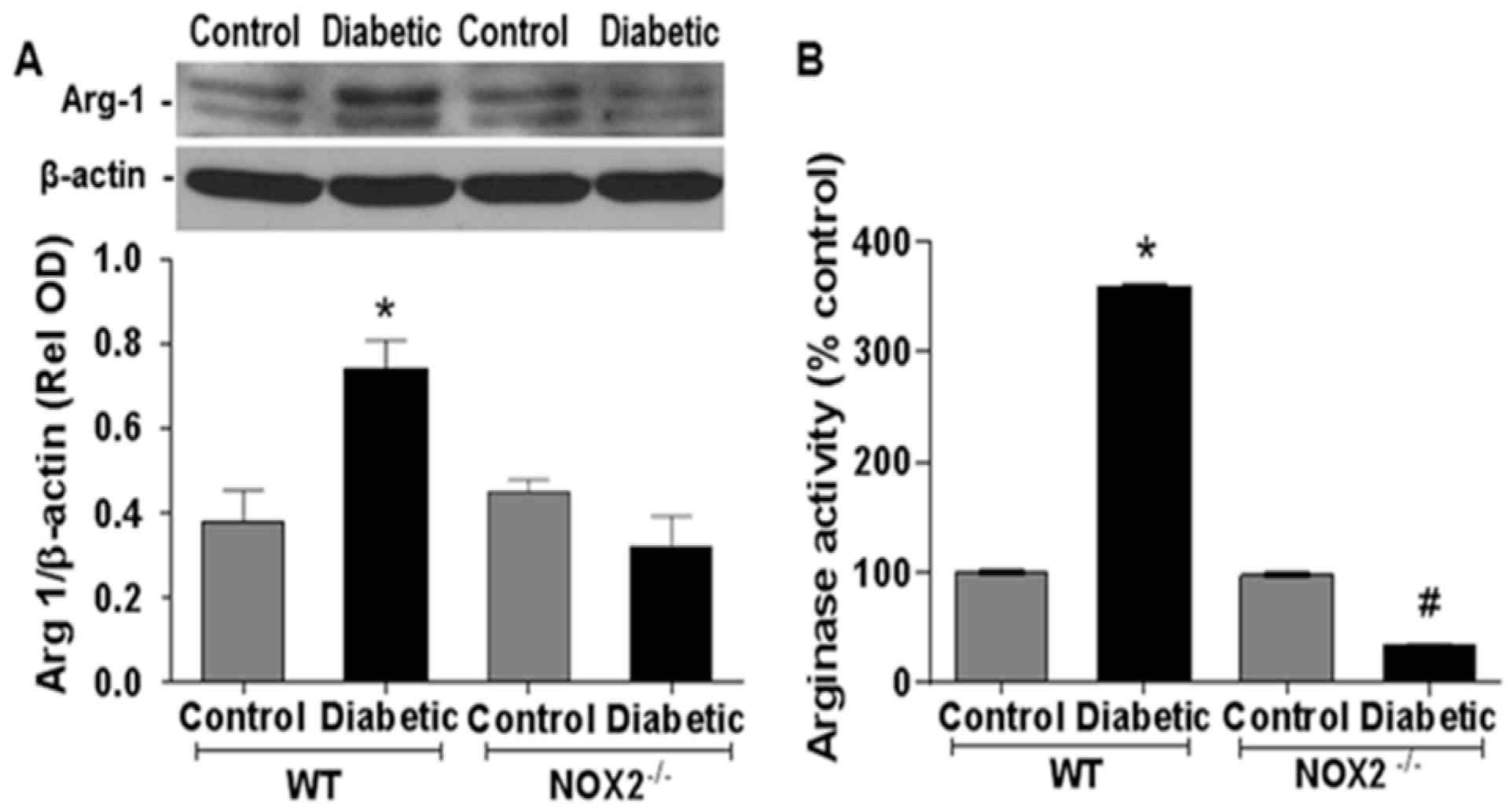 Antioxidants 06 00043 g001