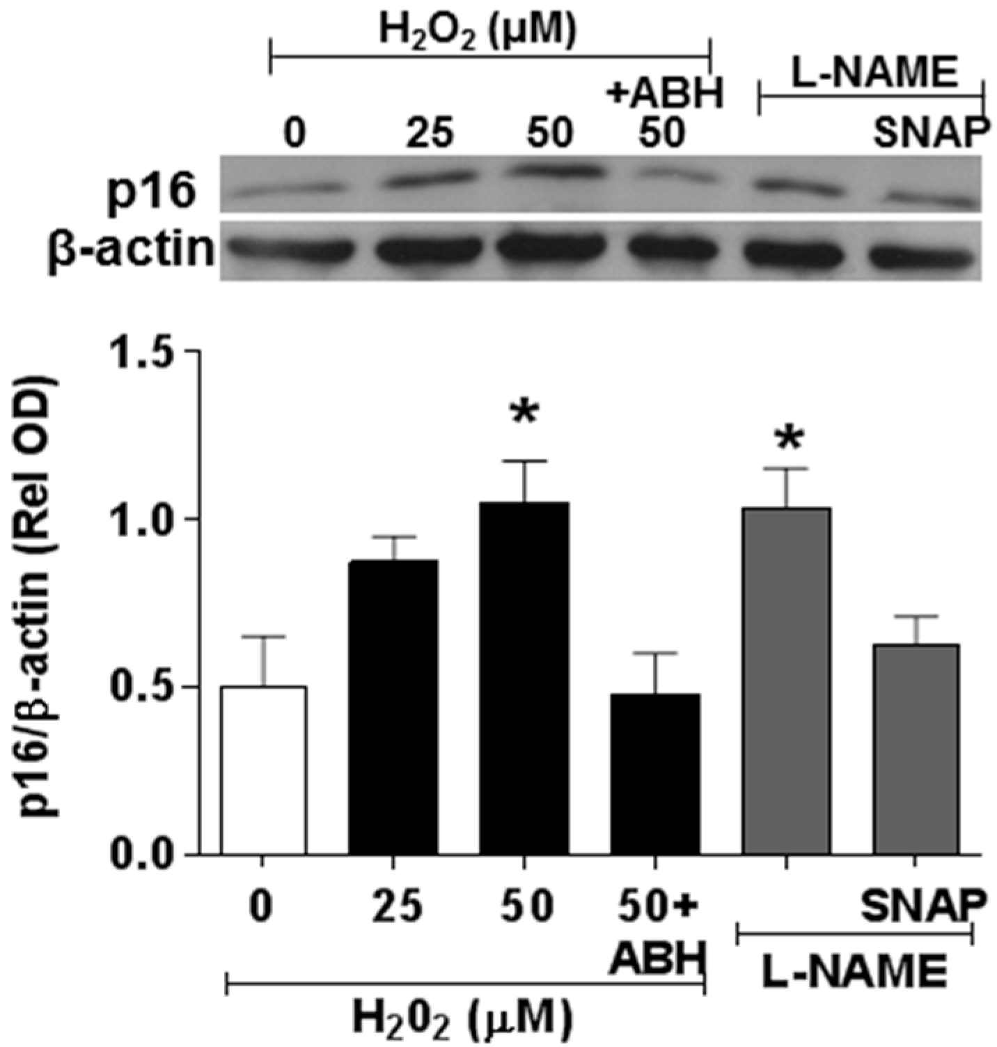 Antioxidants 06 00043 g010