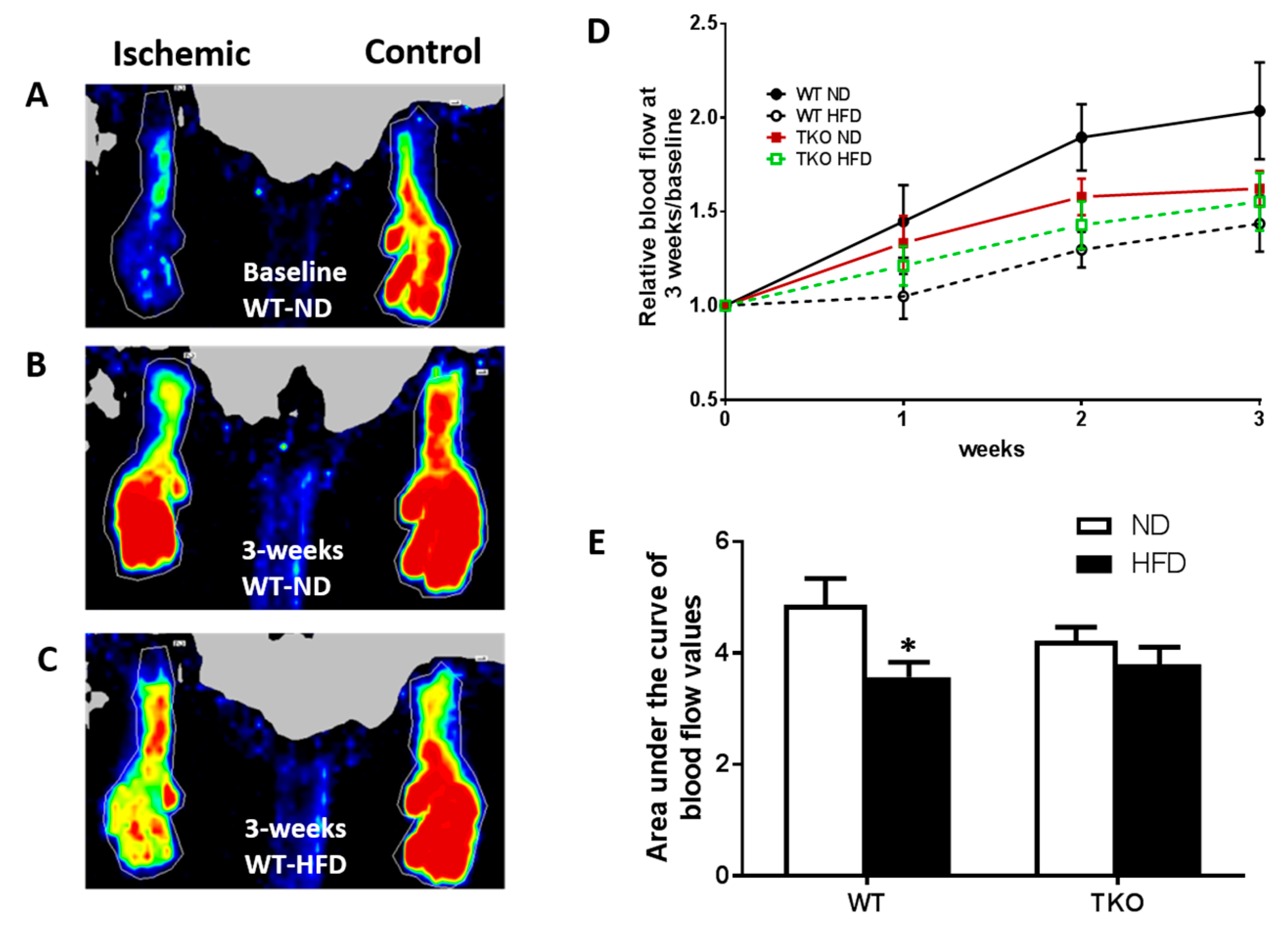 Antioxidants 06 00047 g003