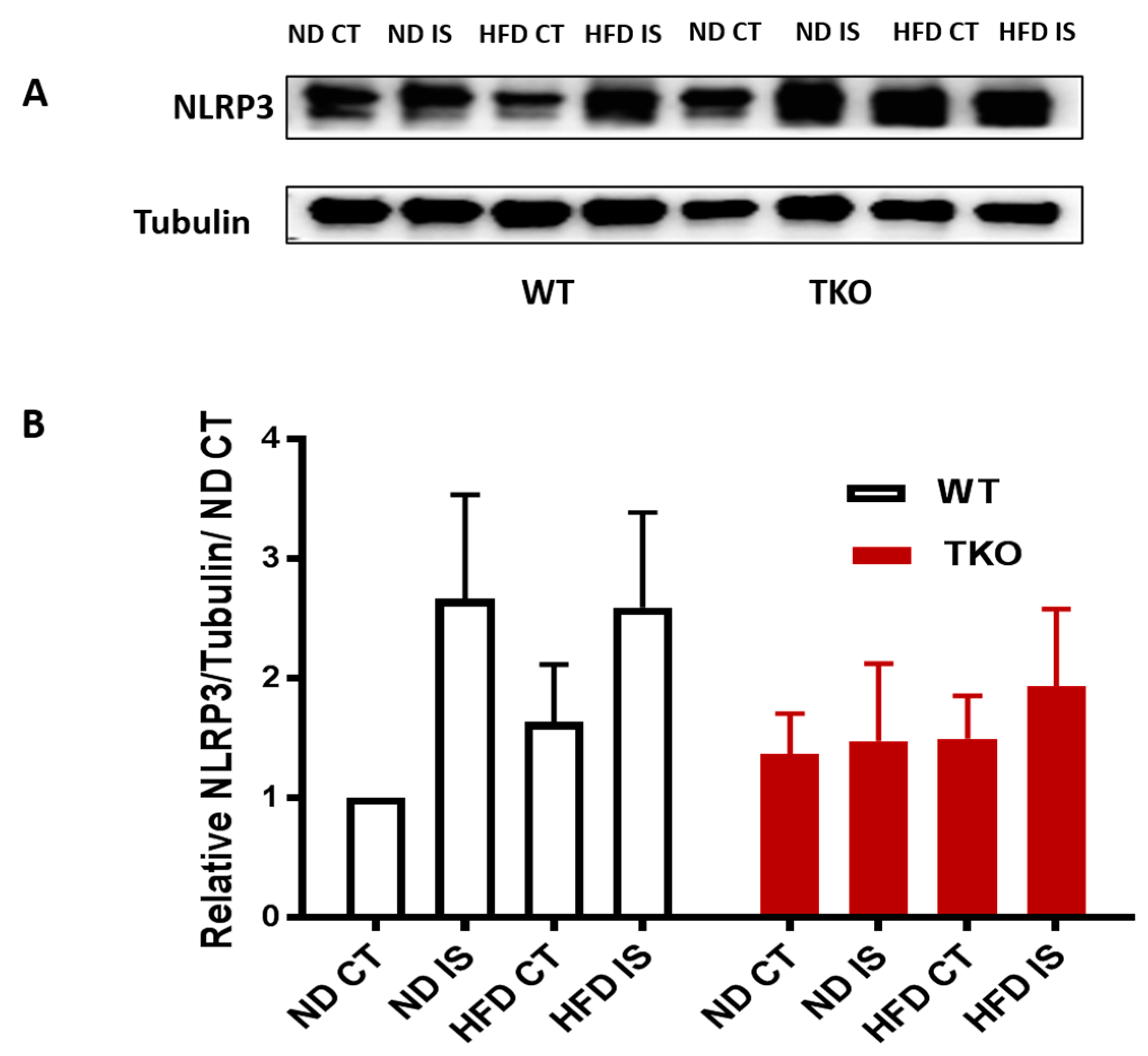 Antioxidants 06 00047 g006