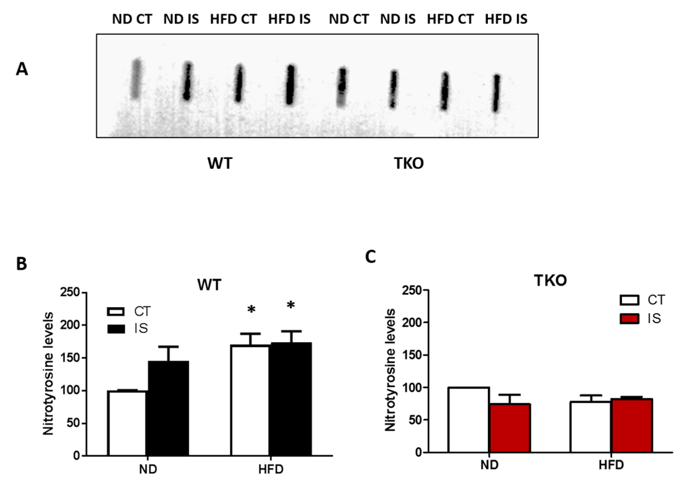 Antioxidants 06 00047 g008