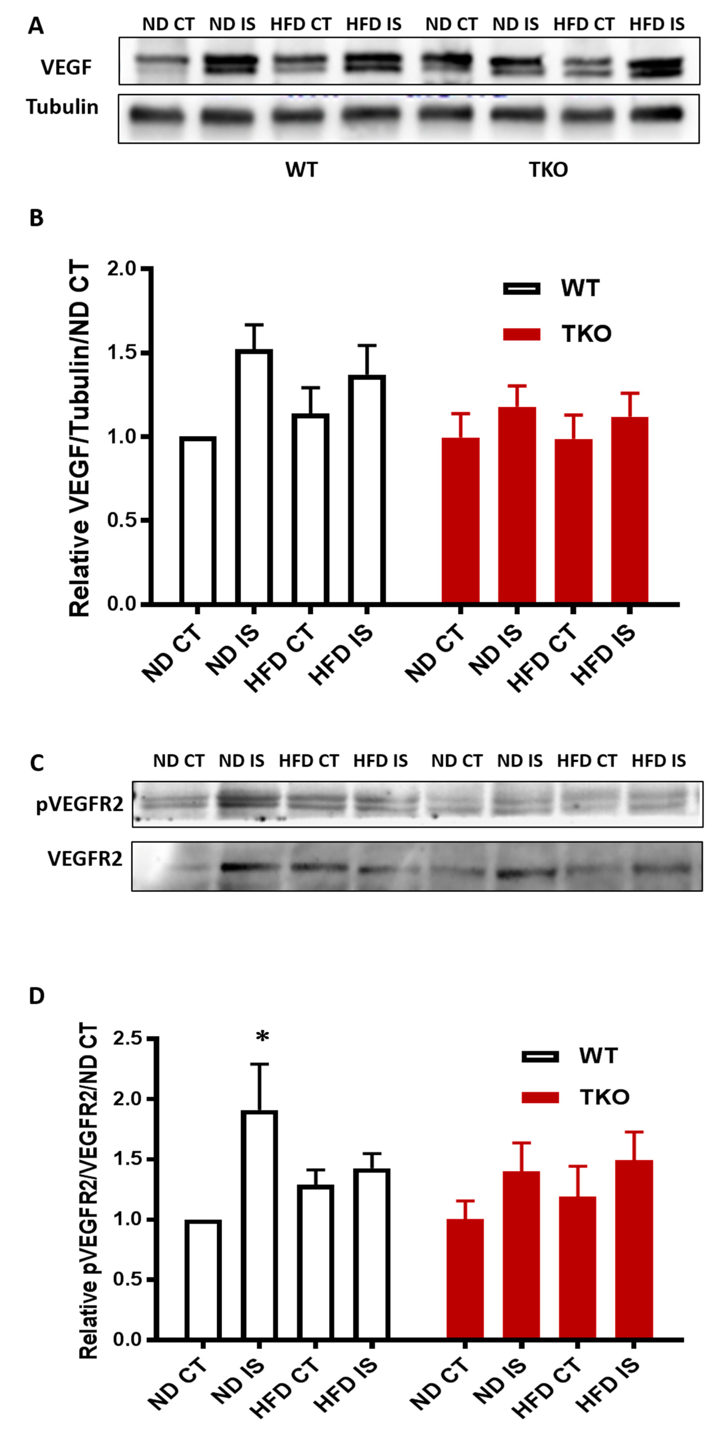 Antioxidants 06 00047 g009