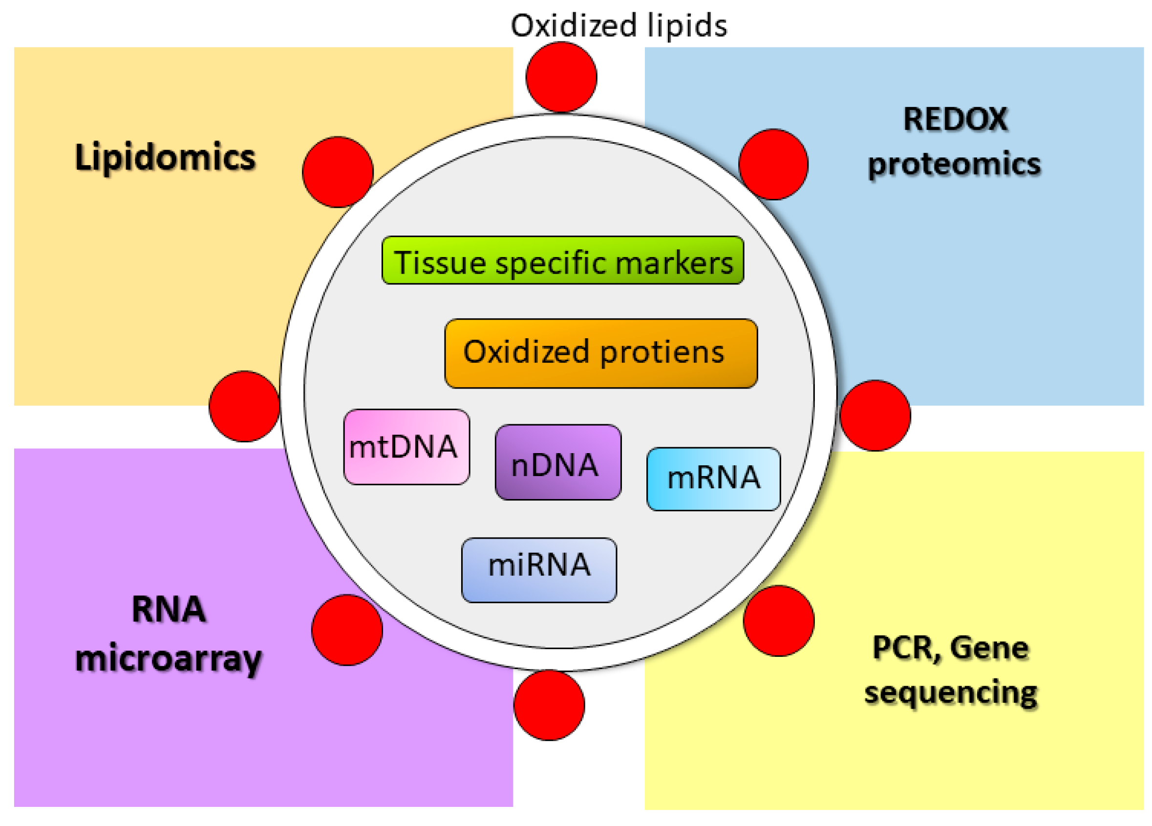 Antioxidants 06 00075 g002 Antioxidants 06 00075 g002