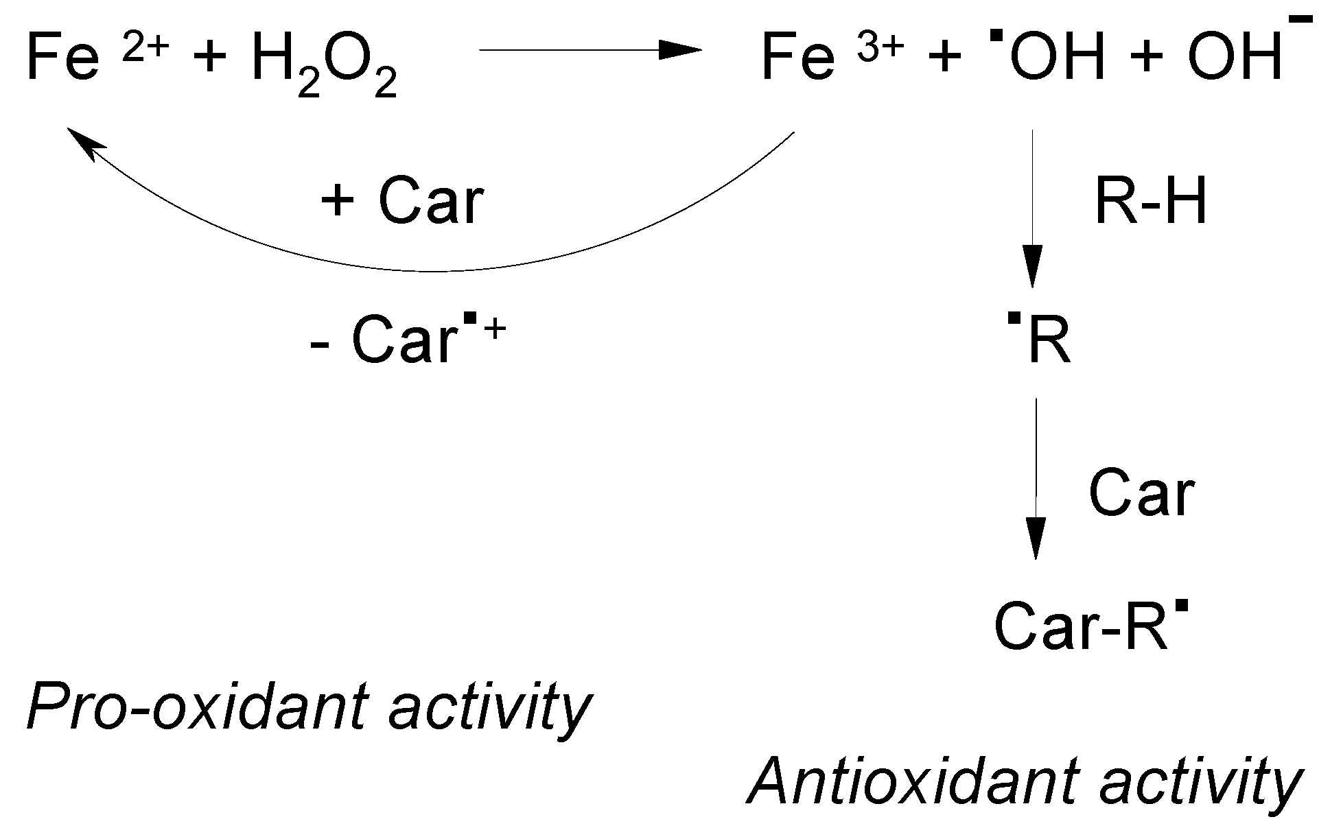 Antioxidants 06 00080 g003 Antioxidants 06 00080 g003