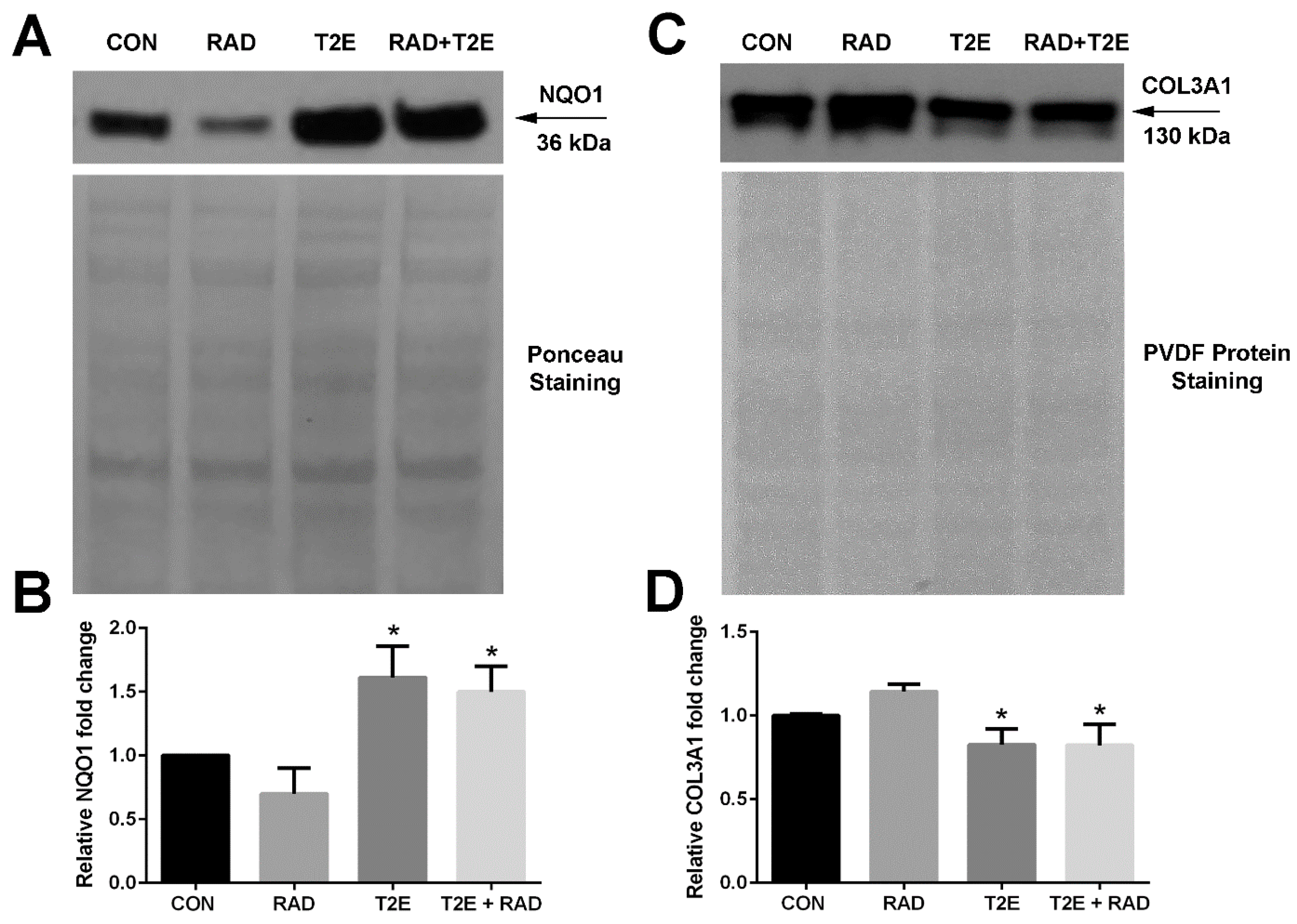 Antioxidants 06 00087 g003