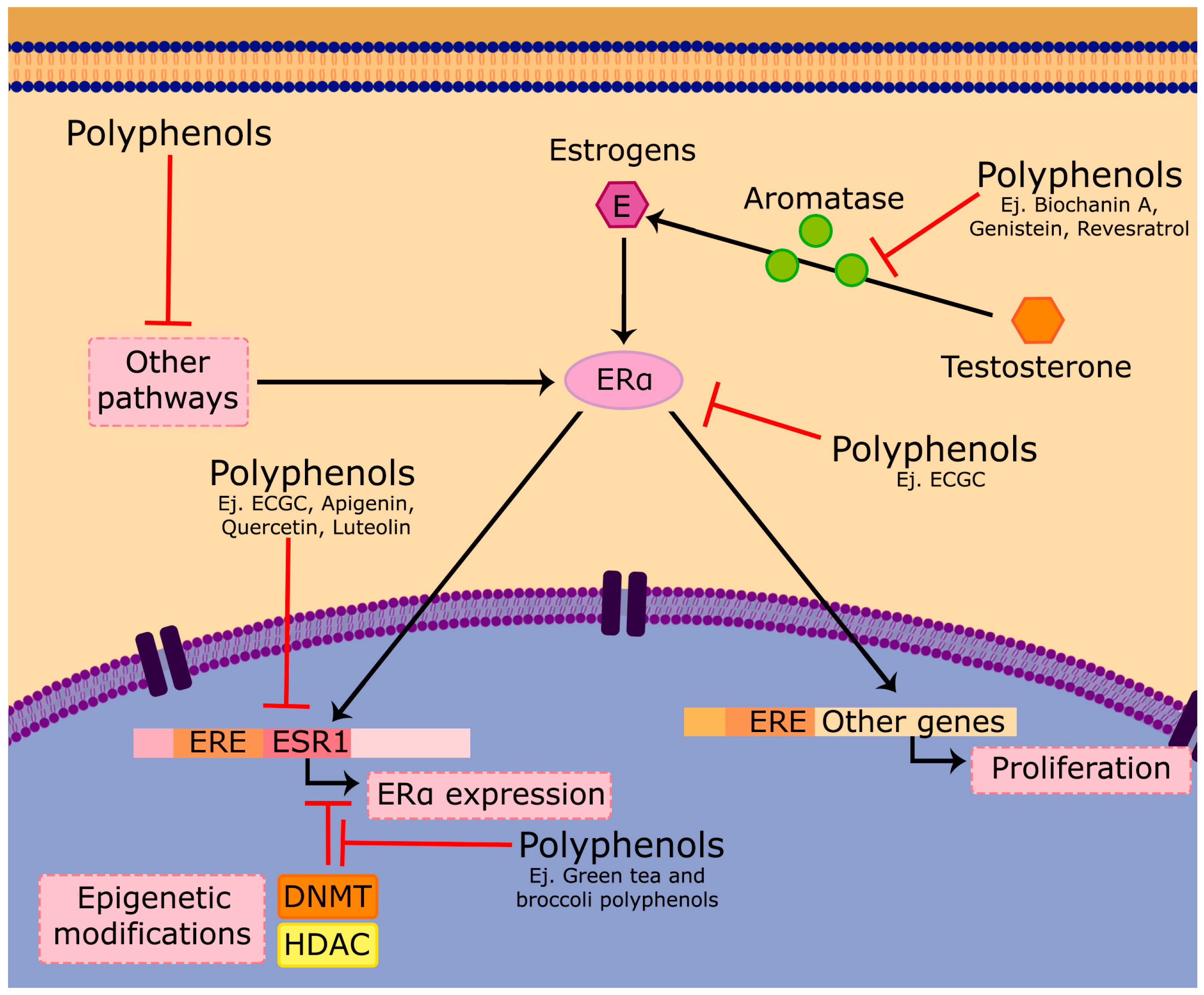 Effects of Anthracnose on the Structure and Diversity of