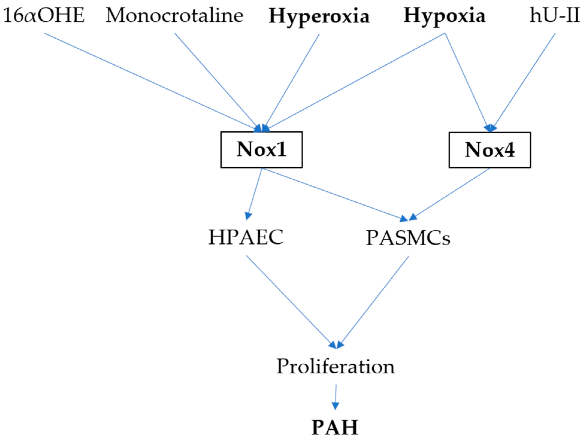Antioxidants Free Full Text The Role Of Nicotinamide Adenine Dinucleotide Phosphate Oxidases In Lung Architecture Remodeling Html Antioxidants Free Full Text The Role Of Nicotinamide Adenine Dinucleotide Phosphate Oxidases In Lung Architecture Remodeling Html