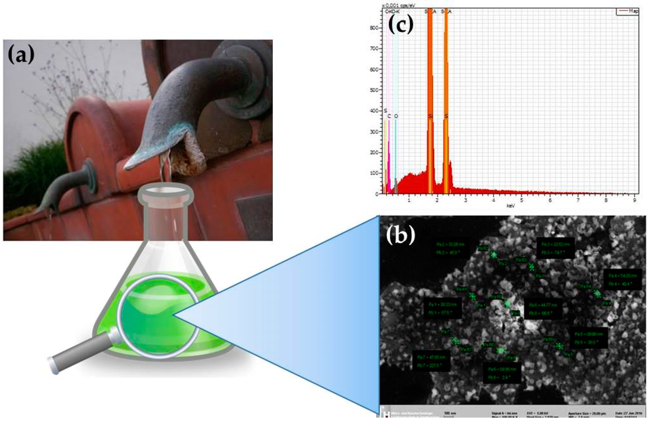 Antioxidants 07 00003 g003 Antioxidants 07 00003 g003