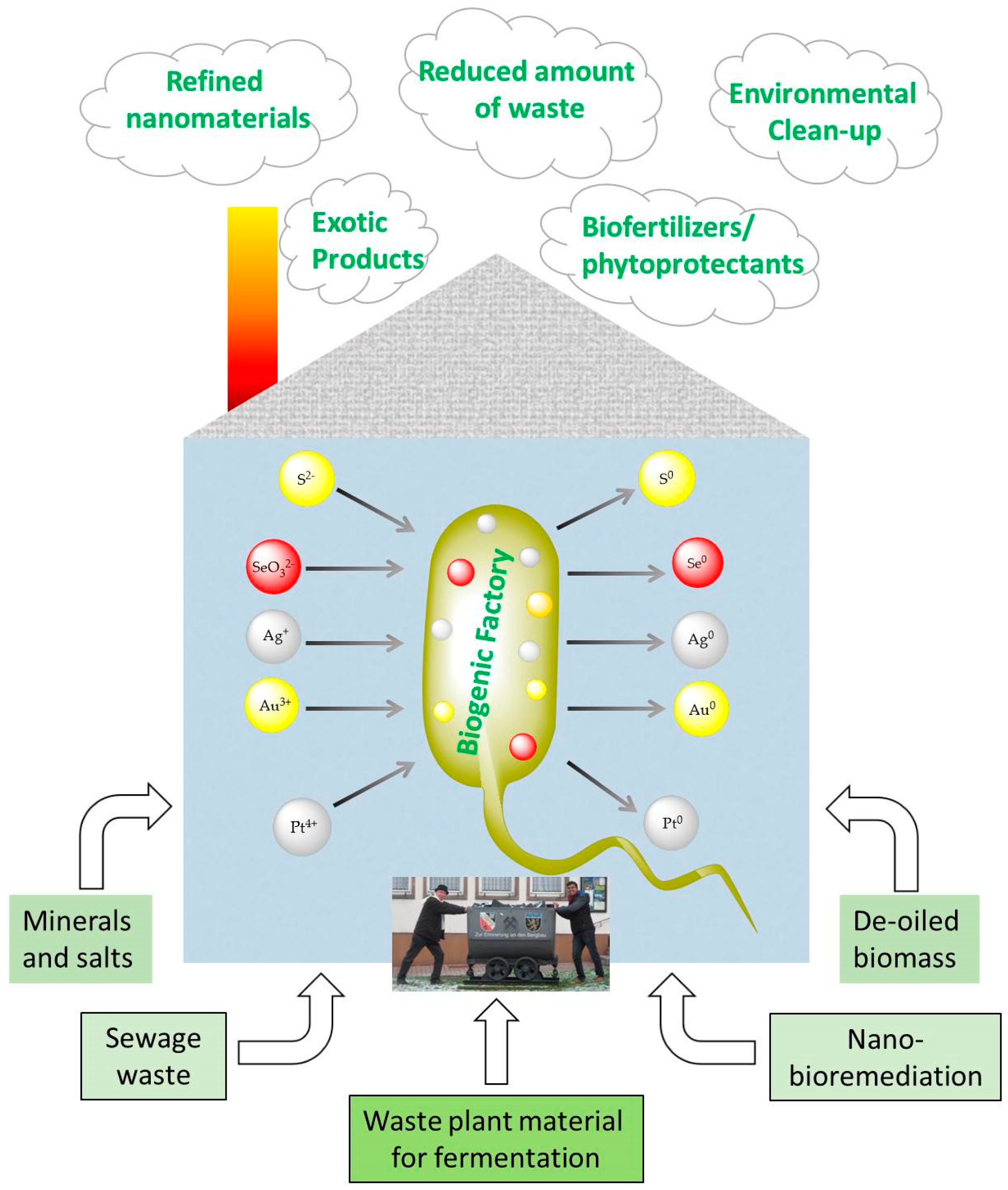 Antioxidants 07 00003 g004 Antioxidants 07 00003 g004