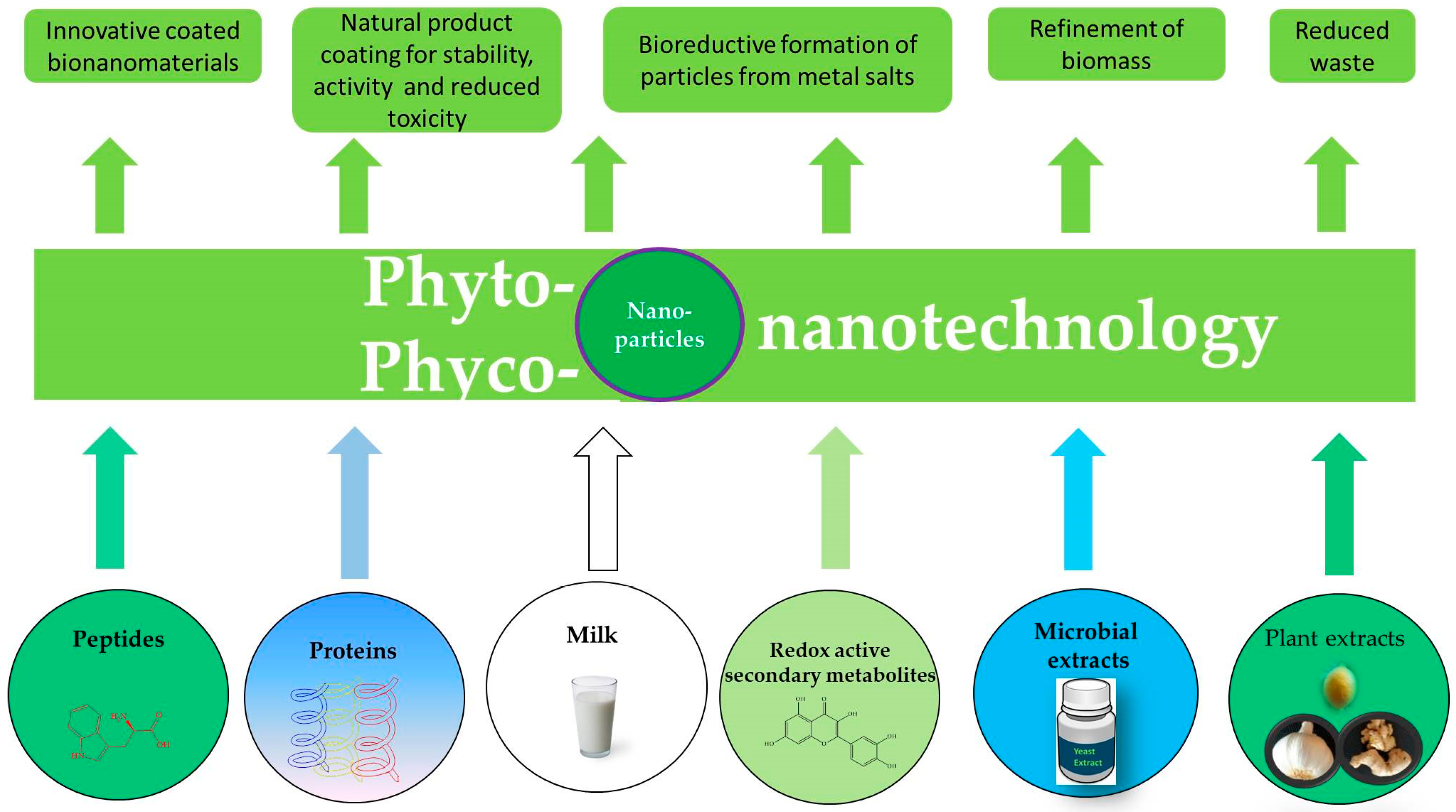 Antioxidants 07 00003 g005 Antioxidants 07 00003 g005