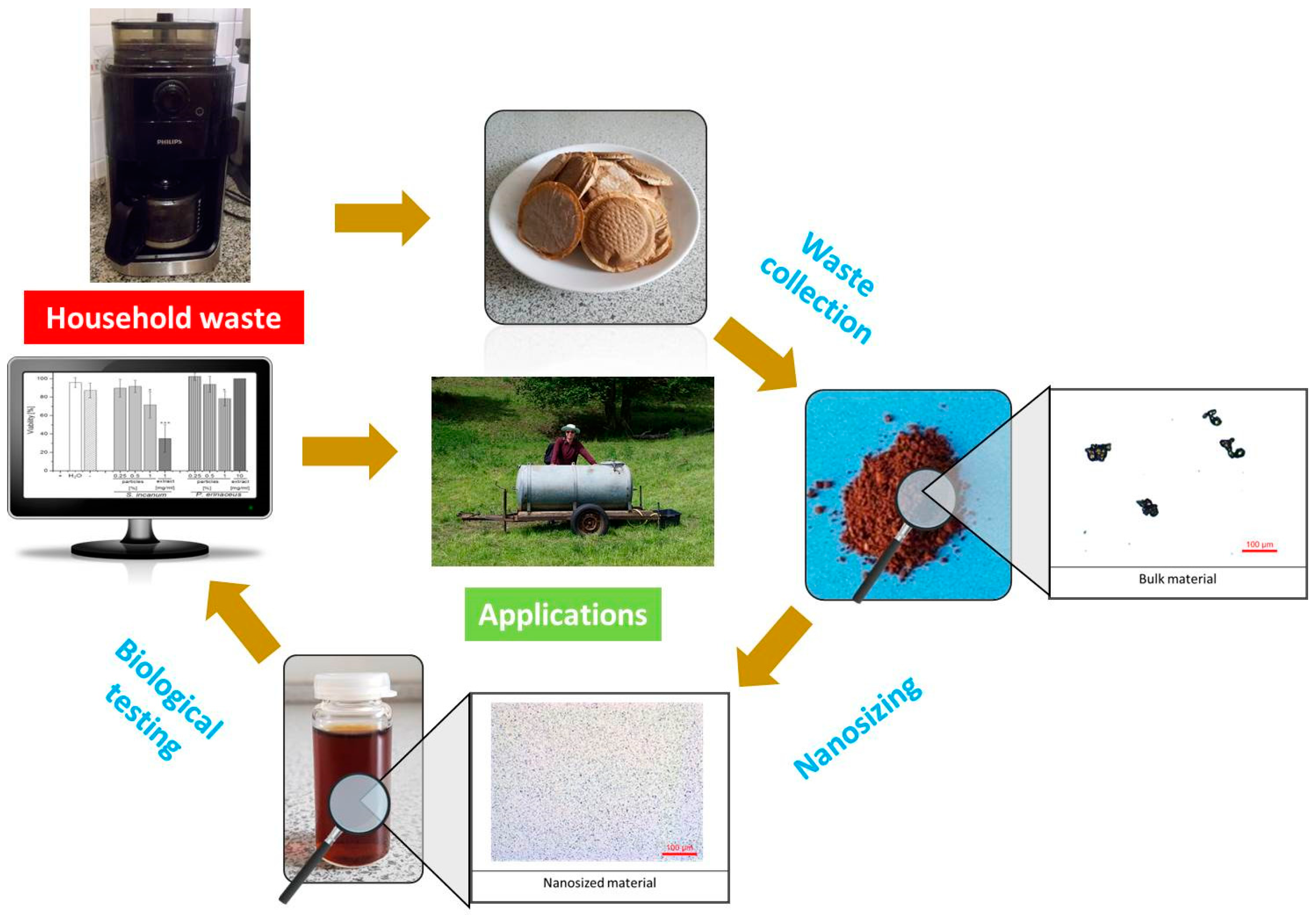 Antioxidants 07 00003 g007 Antioxidants 07 00003 g007