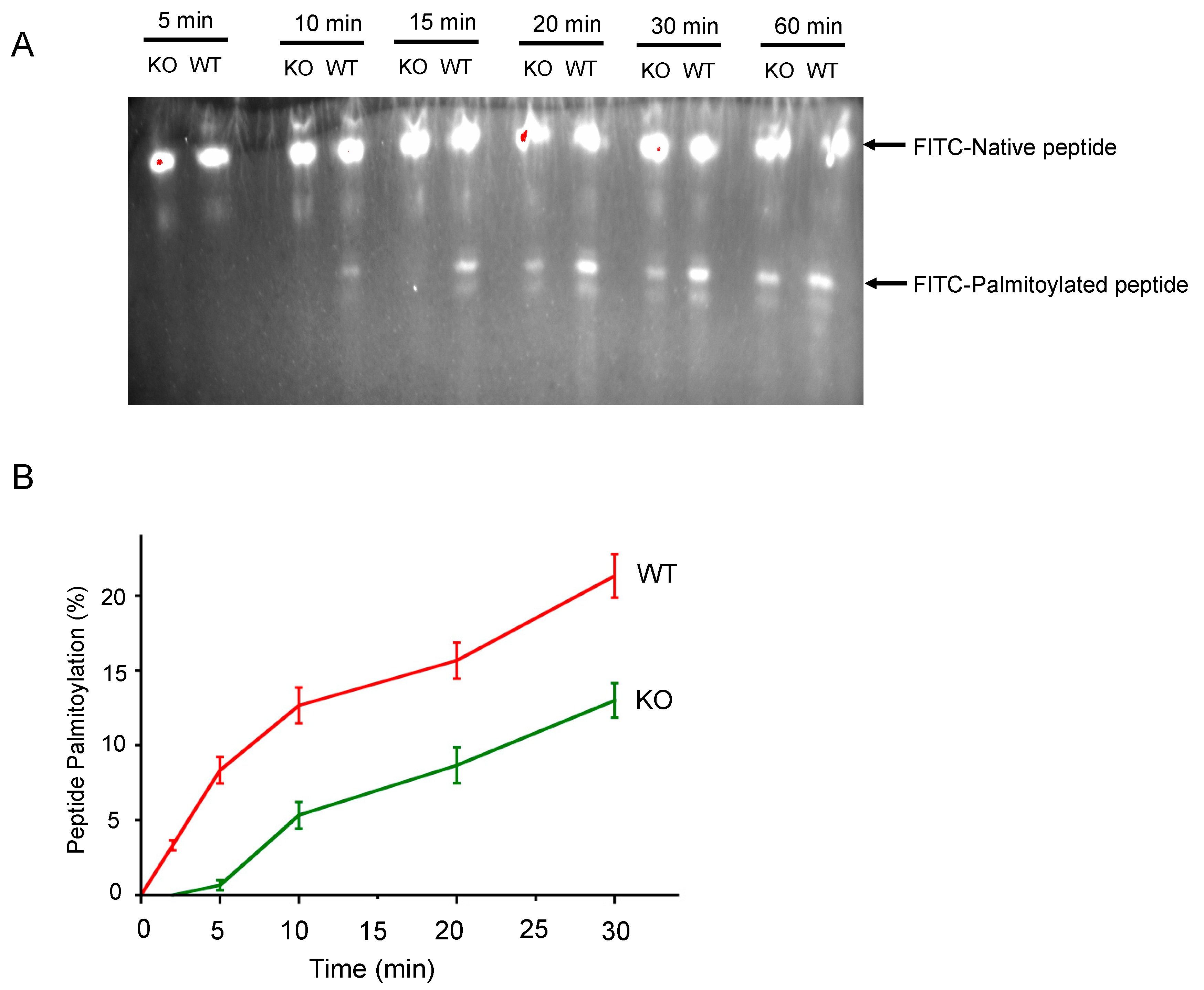 Antioxidants 07 00004 g002 550