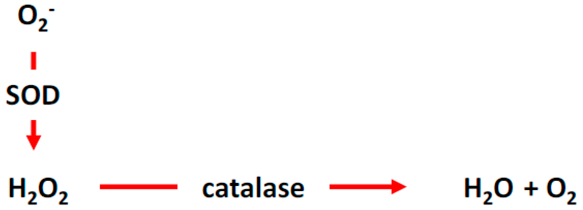 Antioxidants 07 00014 g002 Antioxidants 07 00014 g002
