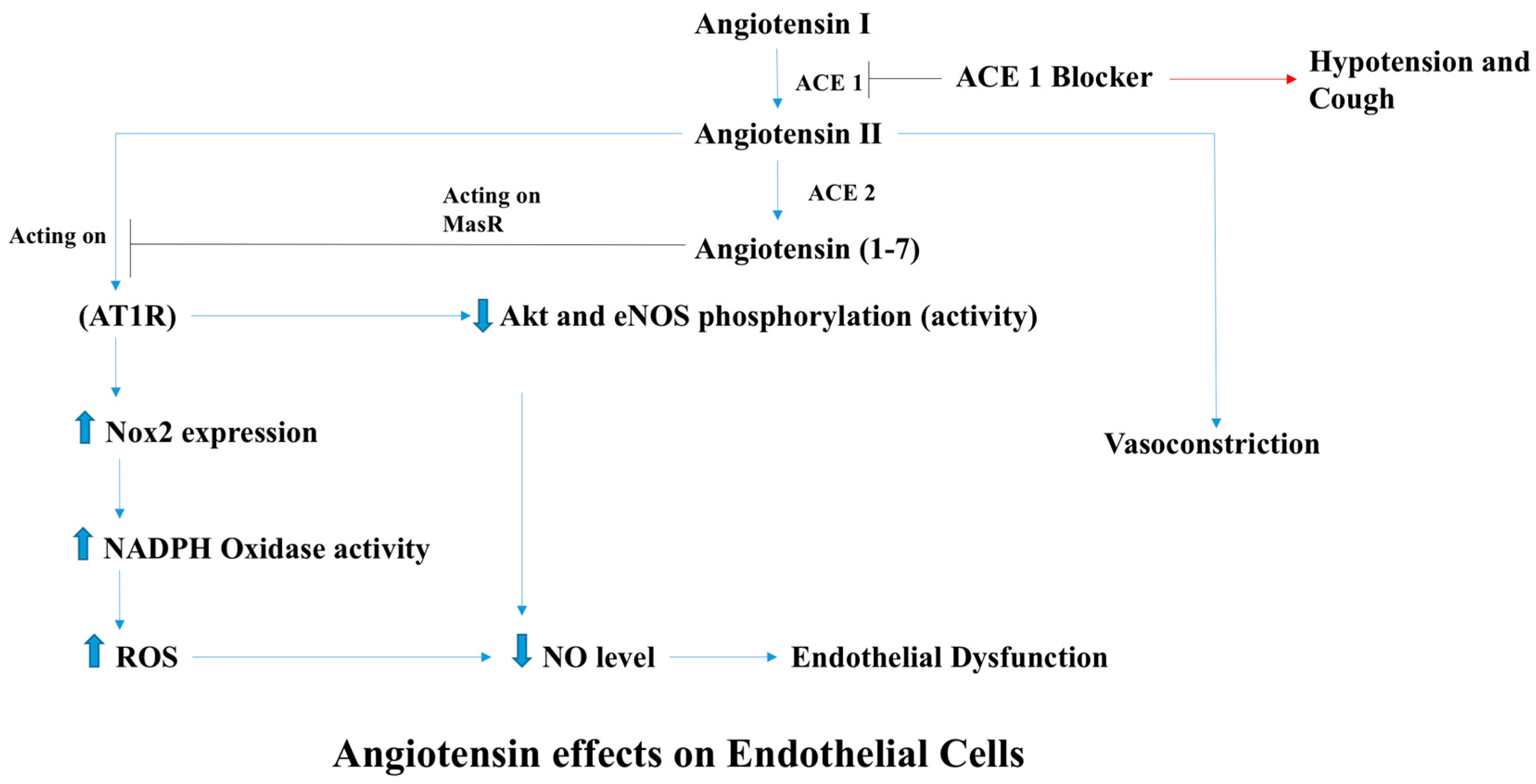 Antioxidants 07 00014 g003 Antioxidants 07 00014 g003
