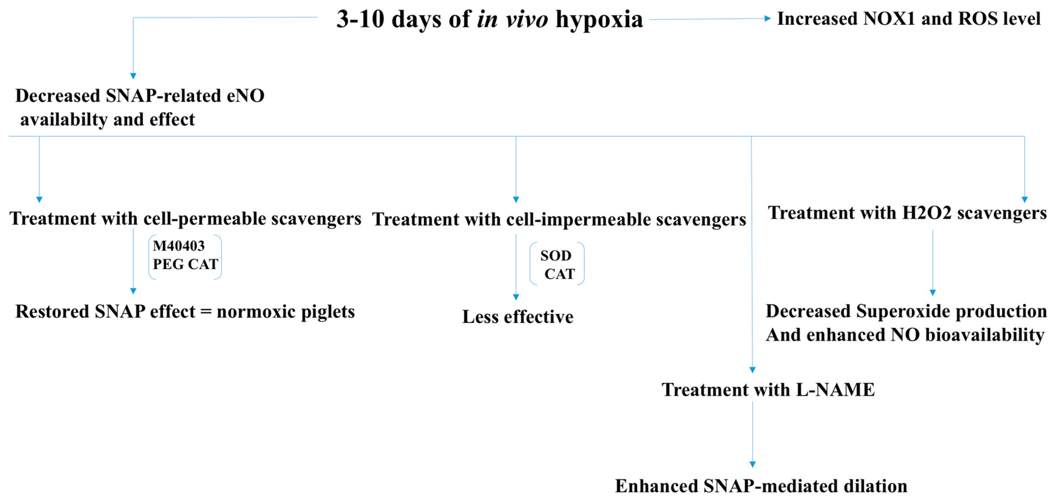 Antioxidants 07 00014 g006 Antioxidants 07 00014 g006