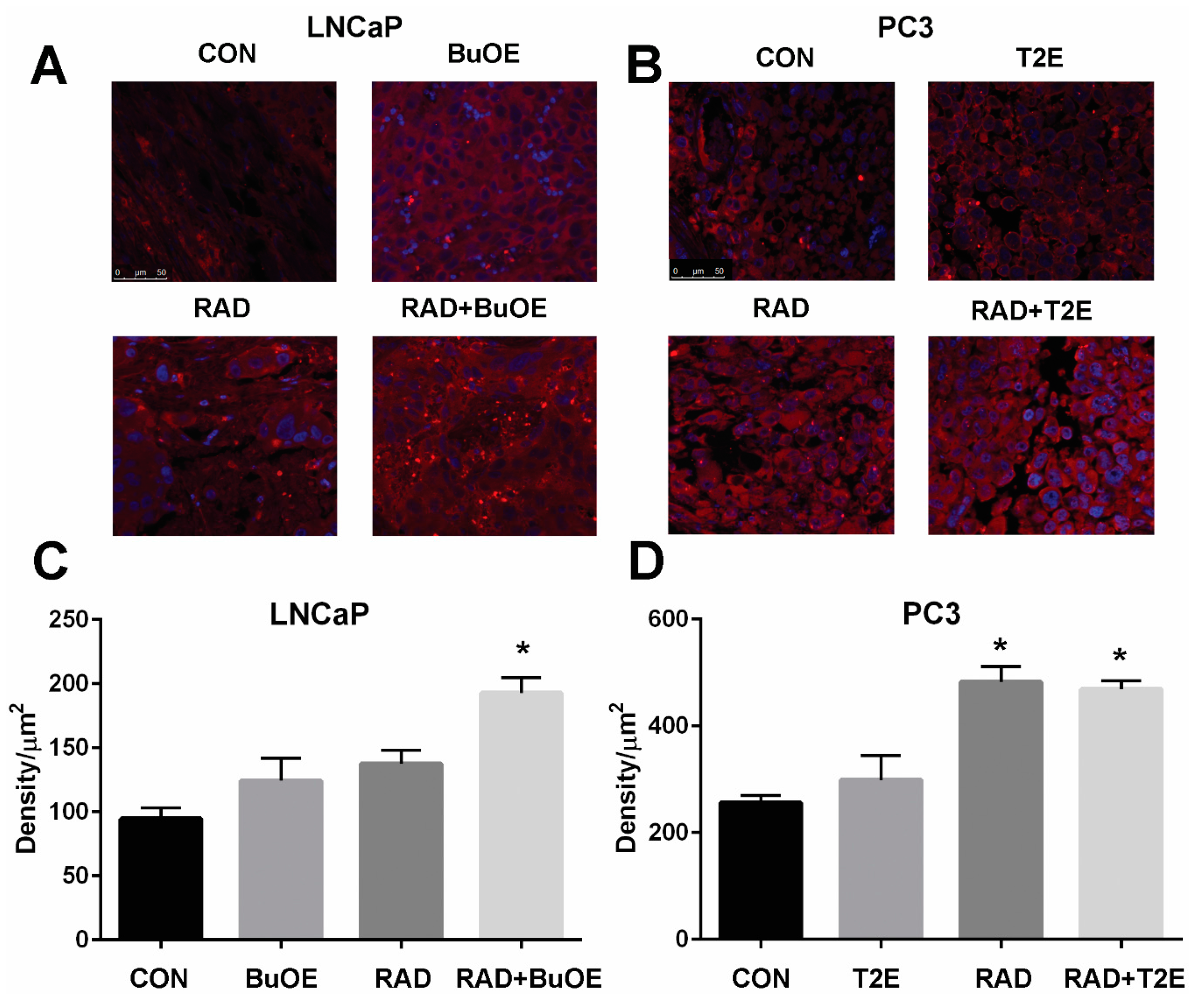 Antioxidants 07 00021 g006 550