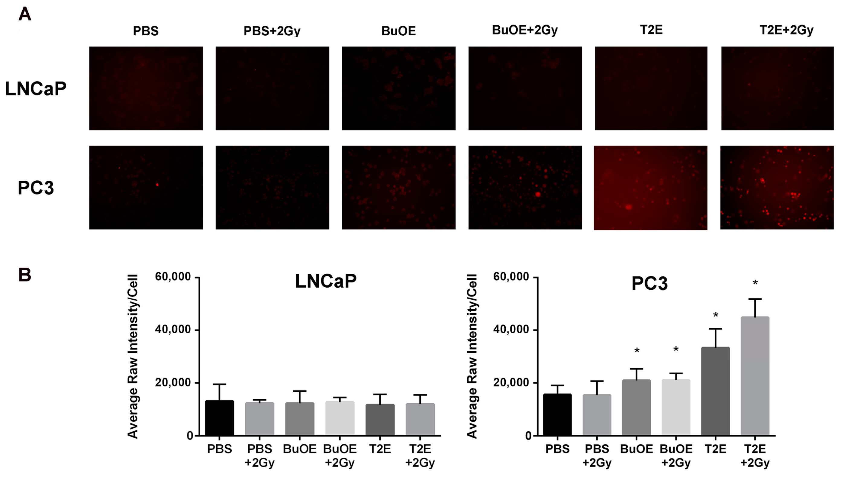 Antioxidants 07 00021 g009 550