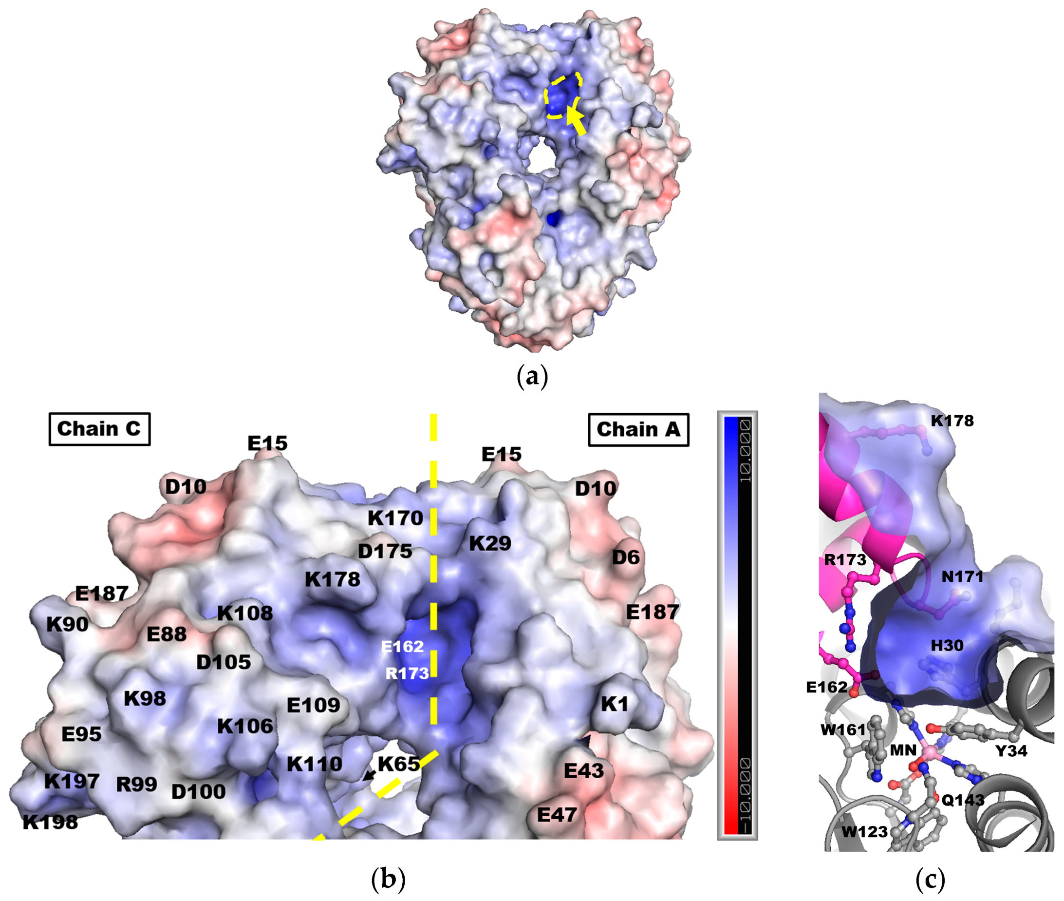 Antioxidants 07 00025 g002 550