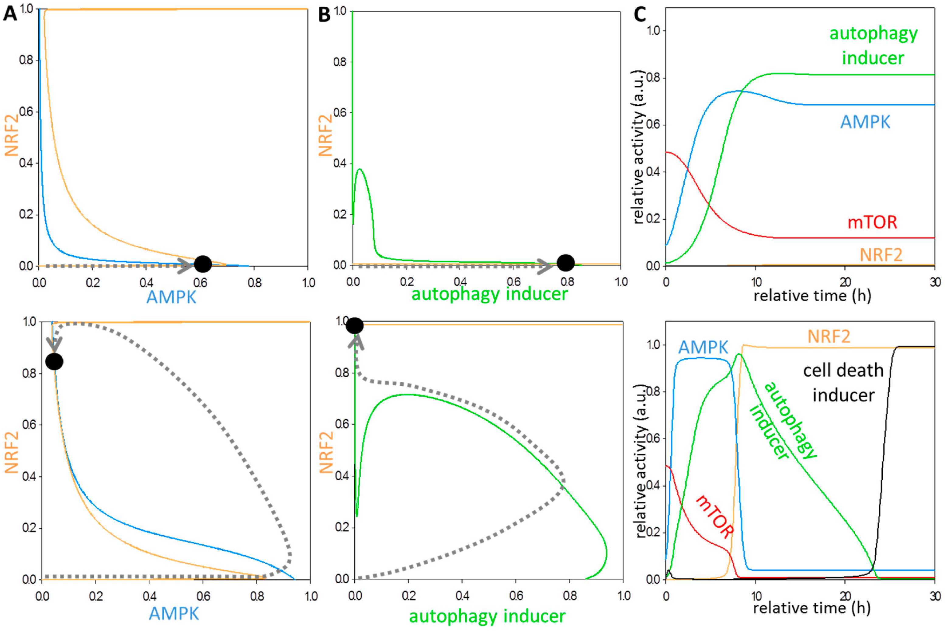 Antioxidants 07 00039 g002 Antioxidants 07 00039 g002