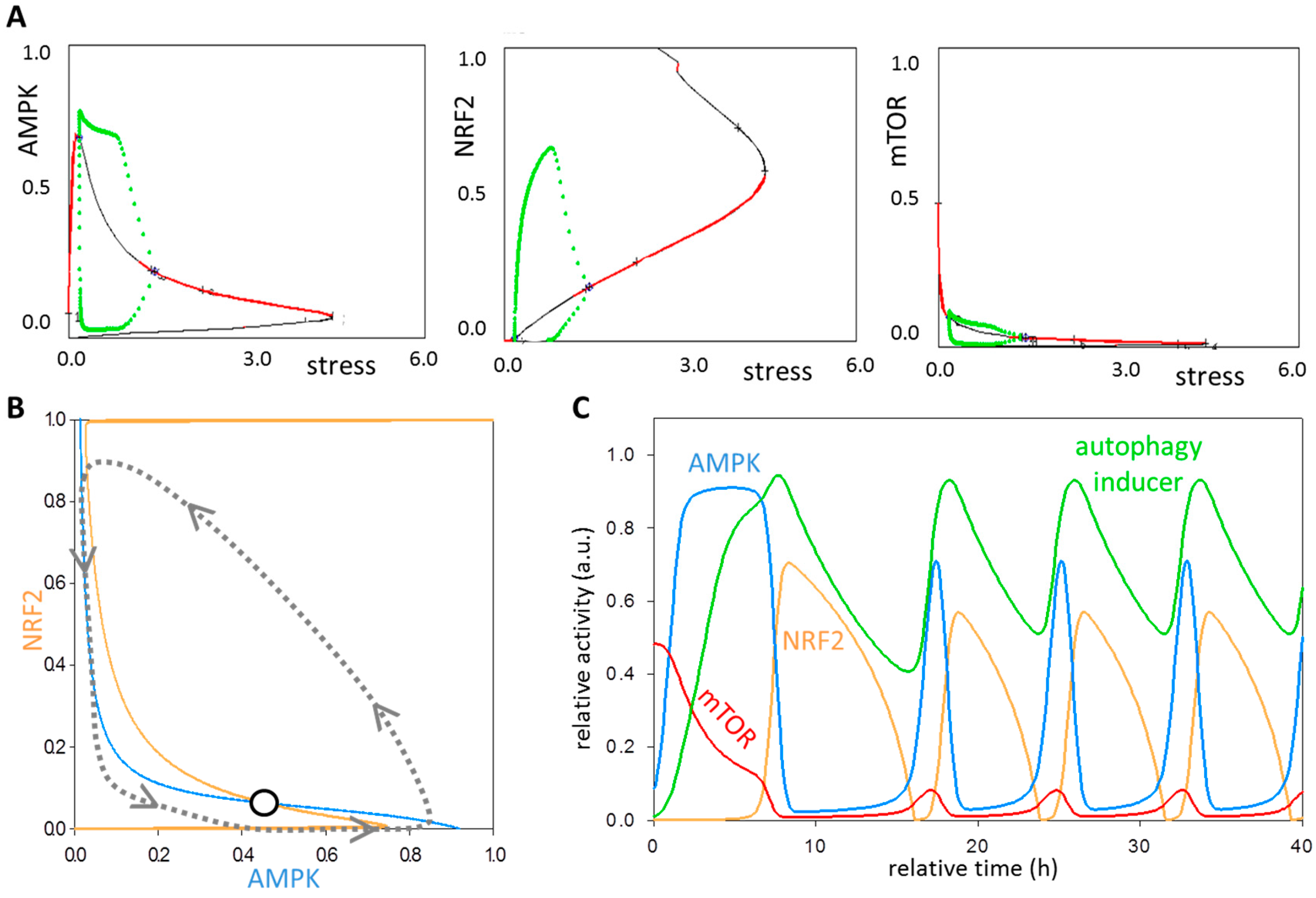 Antioxidants 07 00039 g004 Antioxidants 07 00039 g004