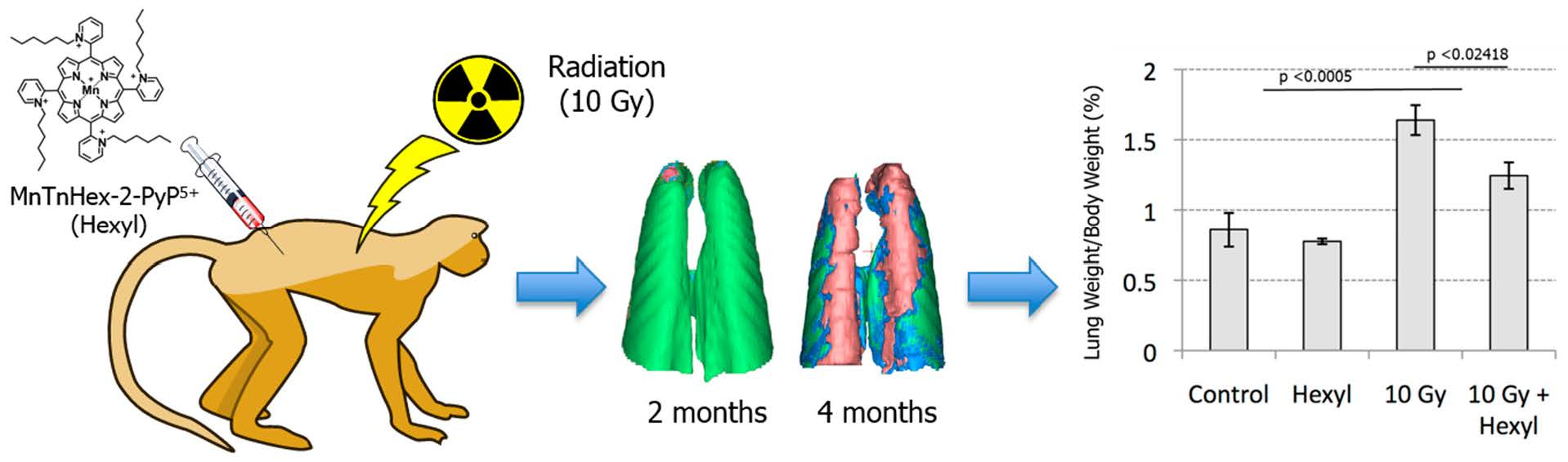 Antioxidants Free FullText PostIrradiation Treatment with a