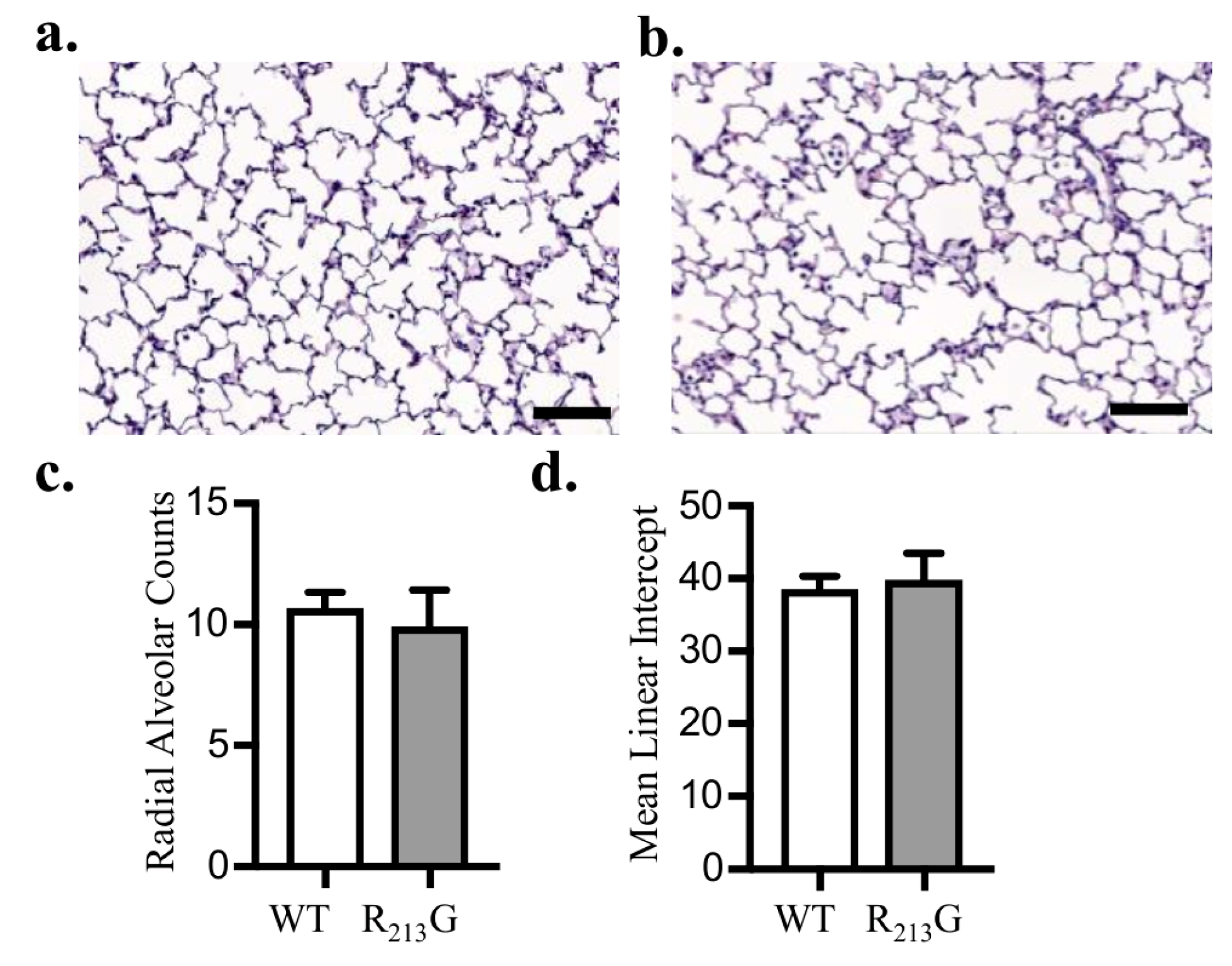 Antioxidants 07 00042 g003 Antioxidants 07 00042 g003
