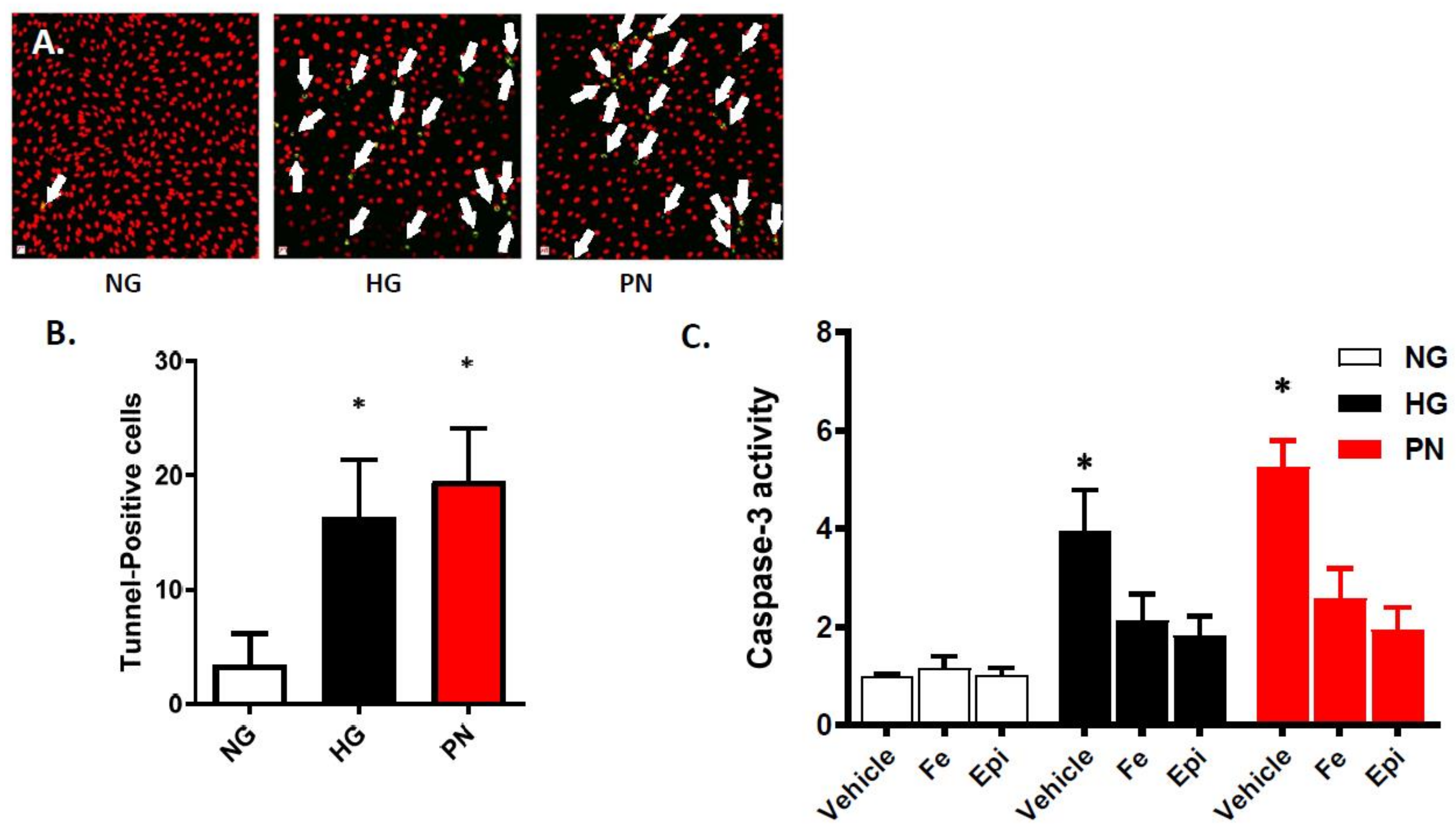 Antioxidants 07 00047 g001