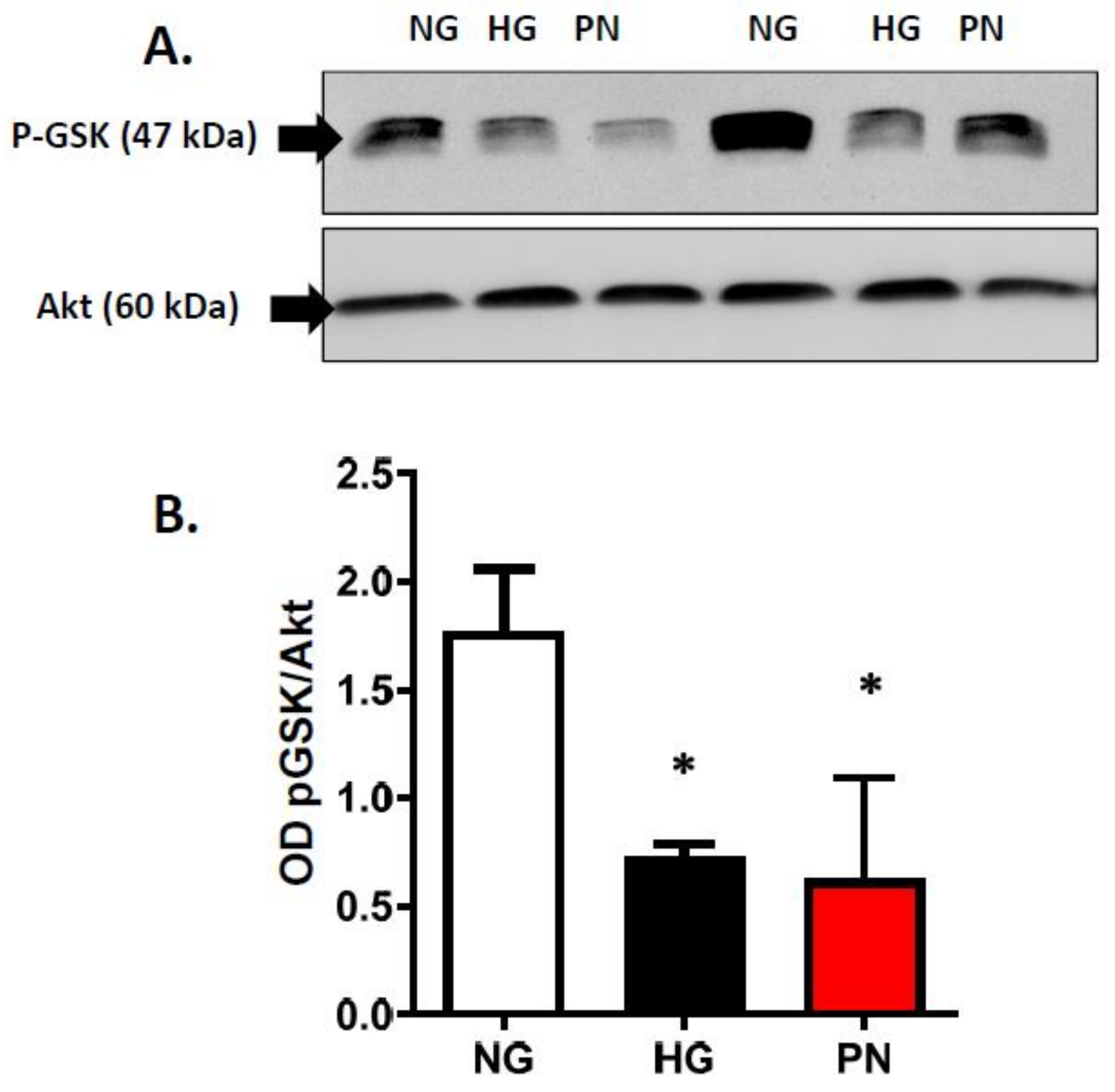 Antioxidants 07 00047 g004