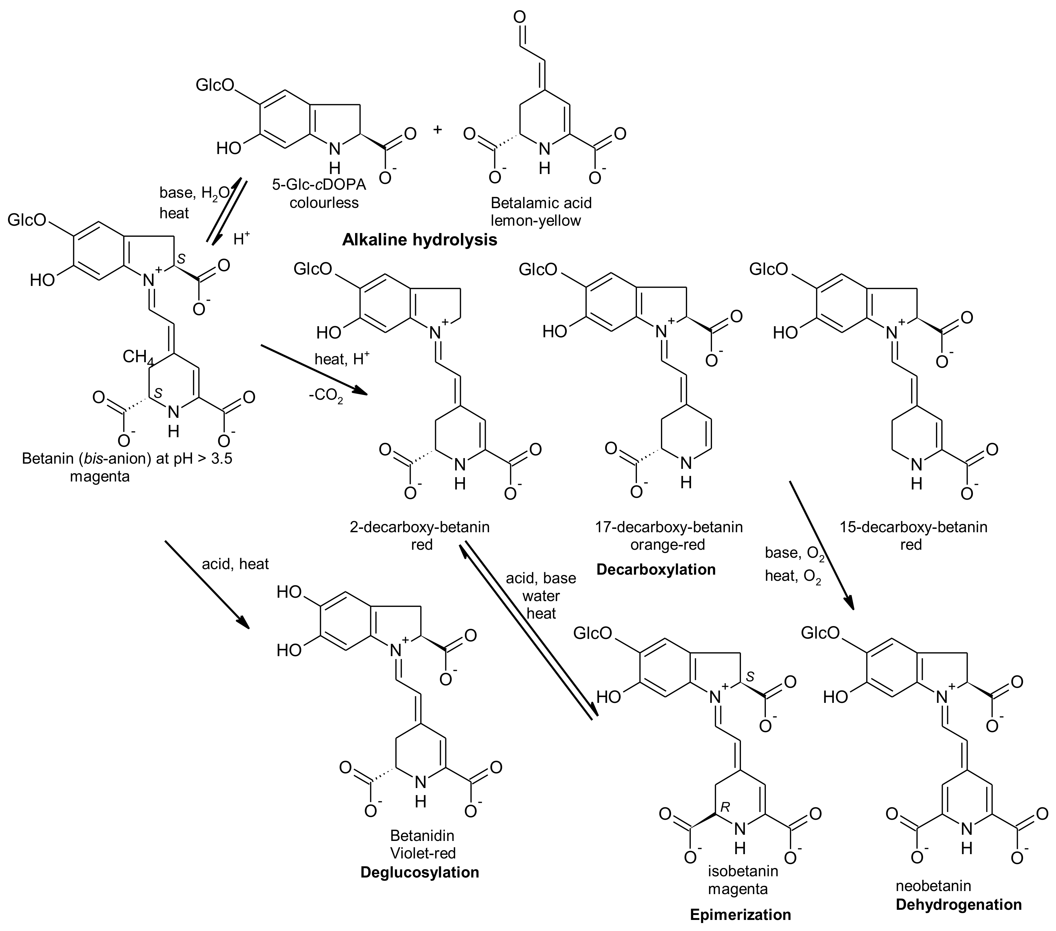 Antioxidants 07 00053 g003