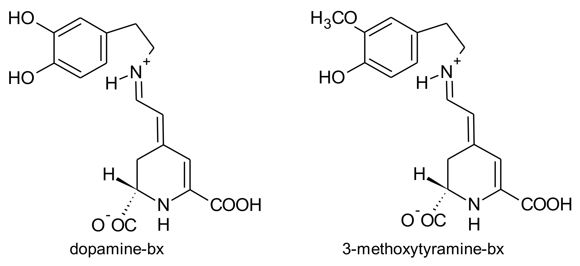 Antioxidants 07 00053 g007