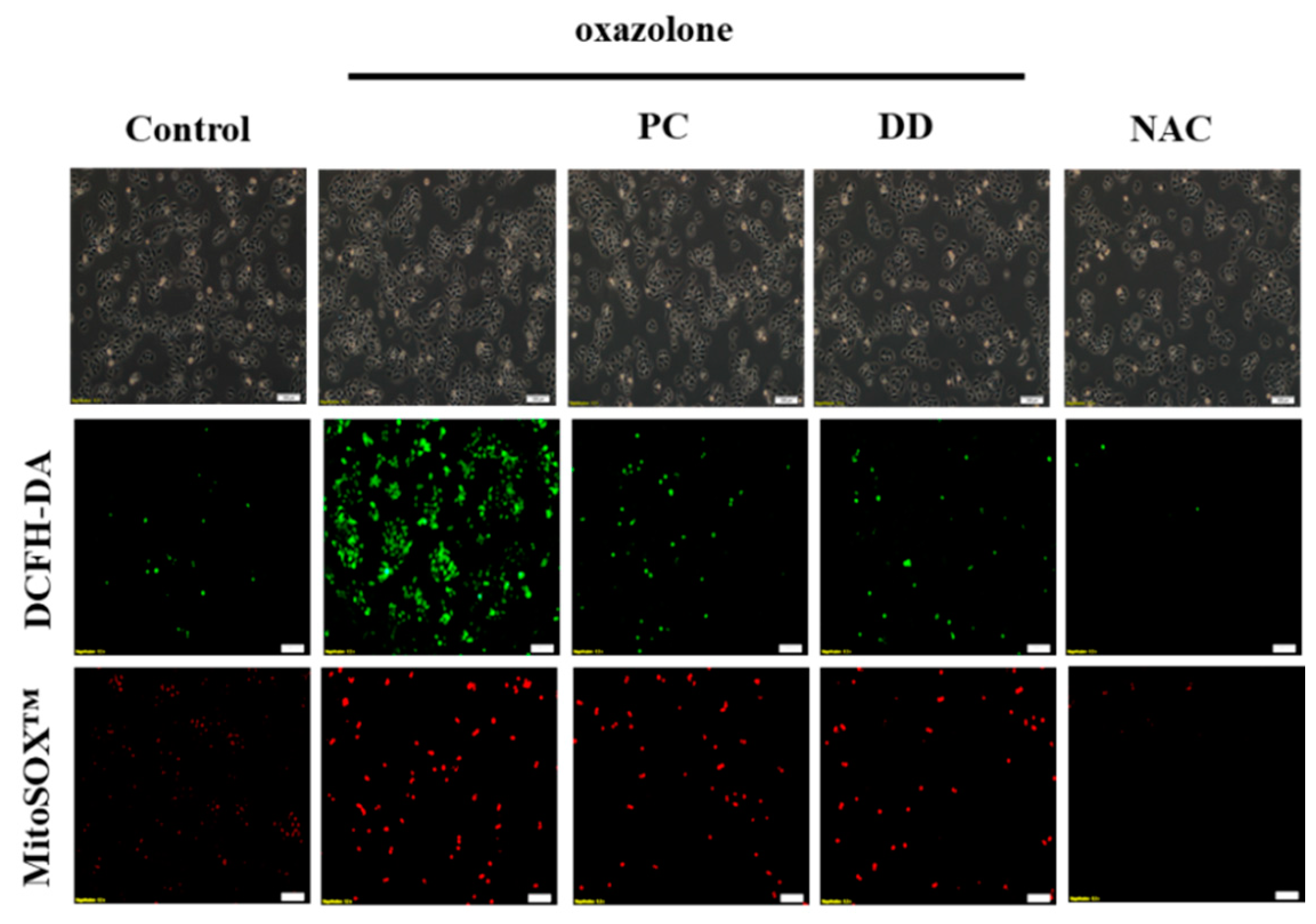 Antioxidants 07 00077 g002 Antioxidants 07 00077 g002