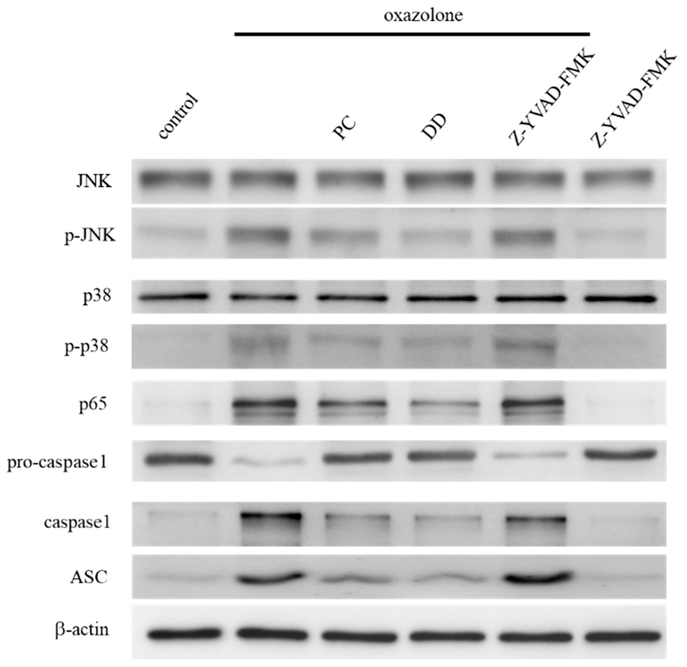 Antioxidants 07 00077 g003 Antioxidants 07 00077 g003