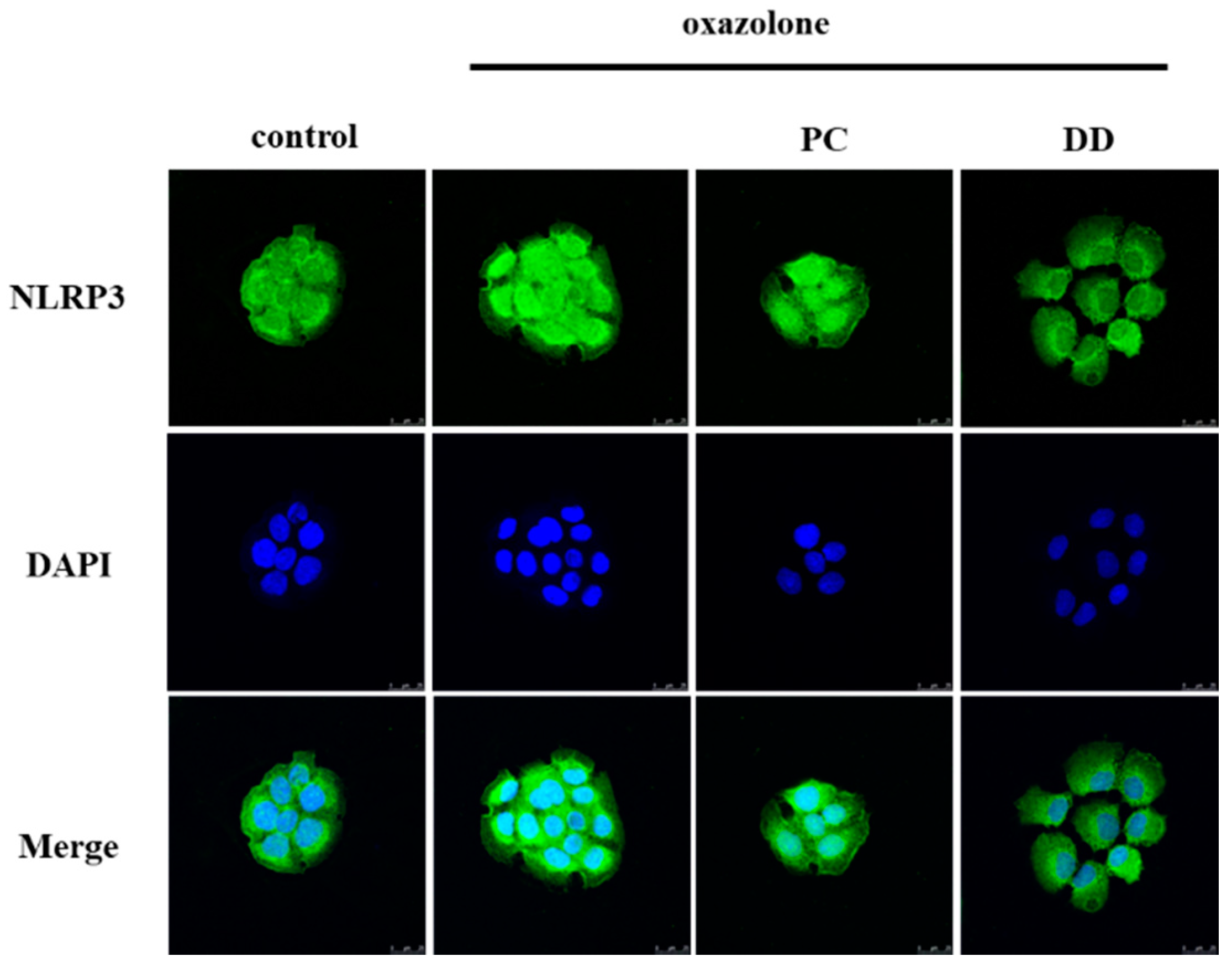 Antioxidants 07 00077 g004 Antioxidants 07 00077 g004