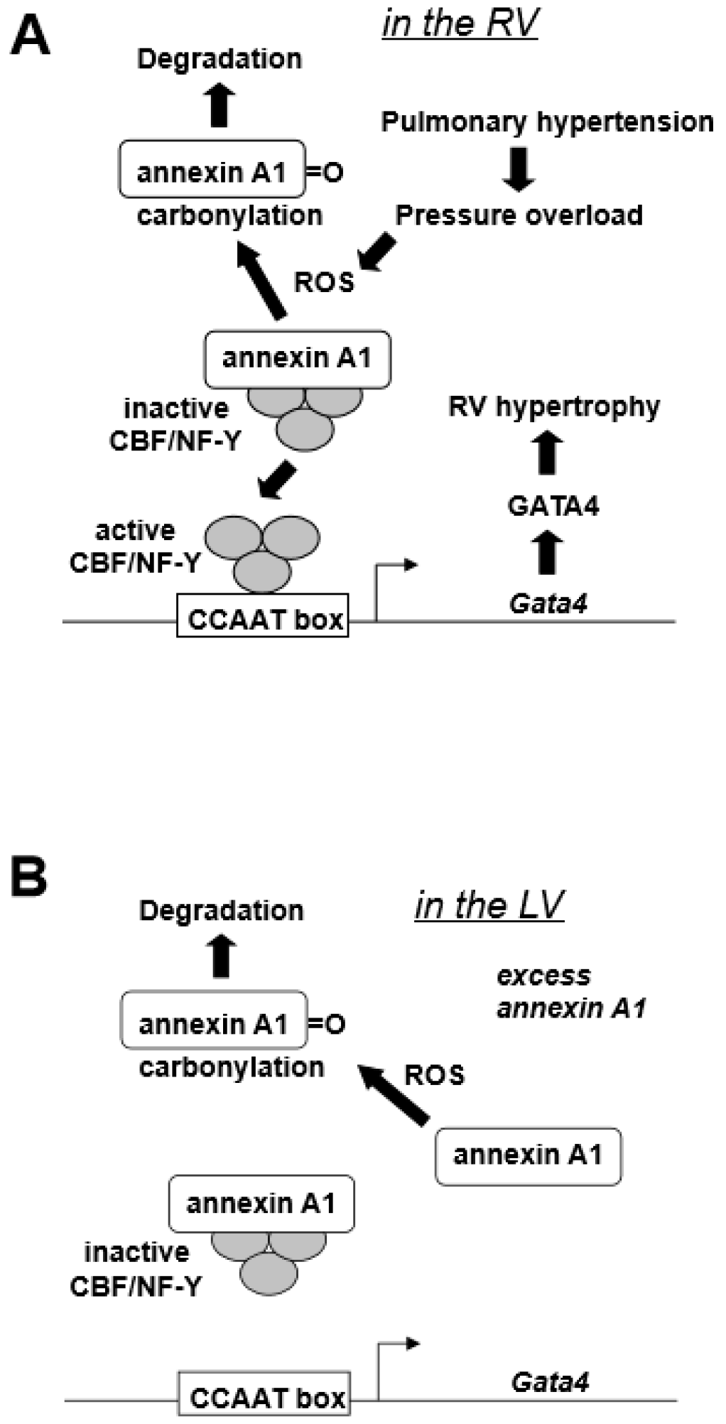 Antioxidants 07 00106 g001