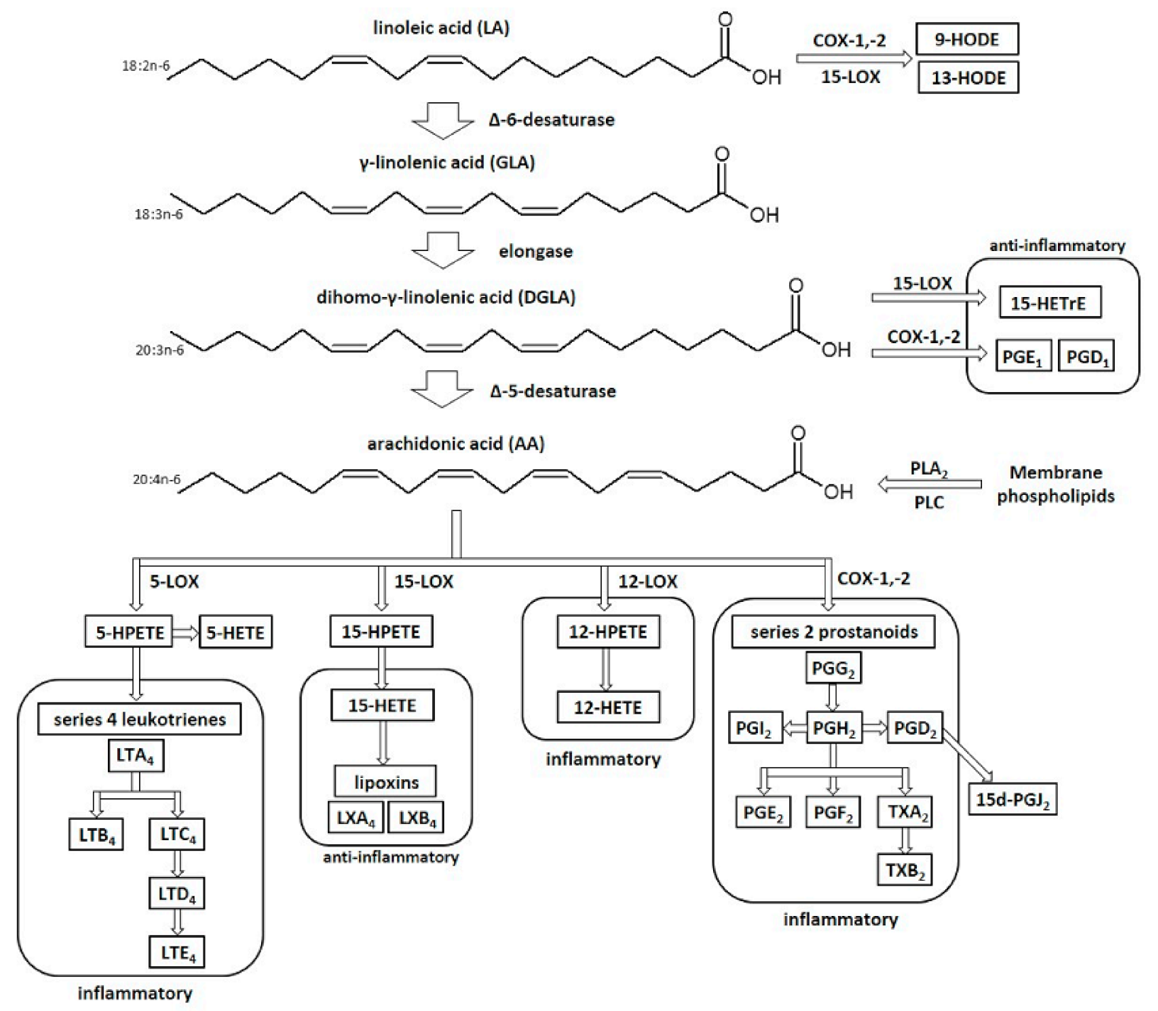 Antioxidants 07 00108 g001