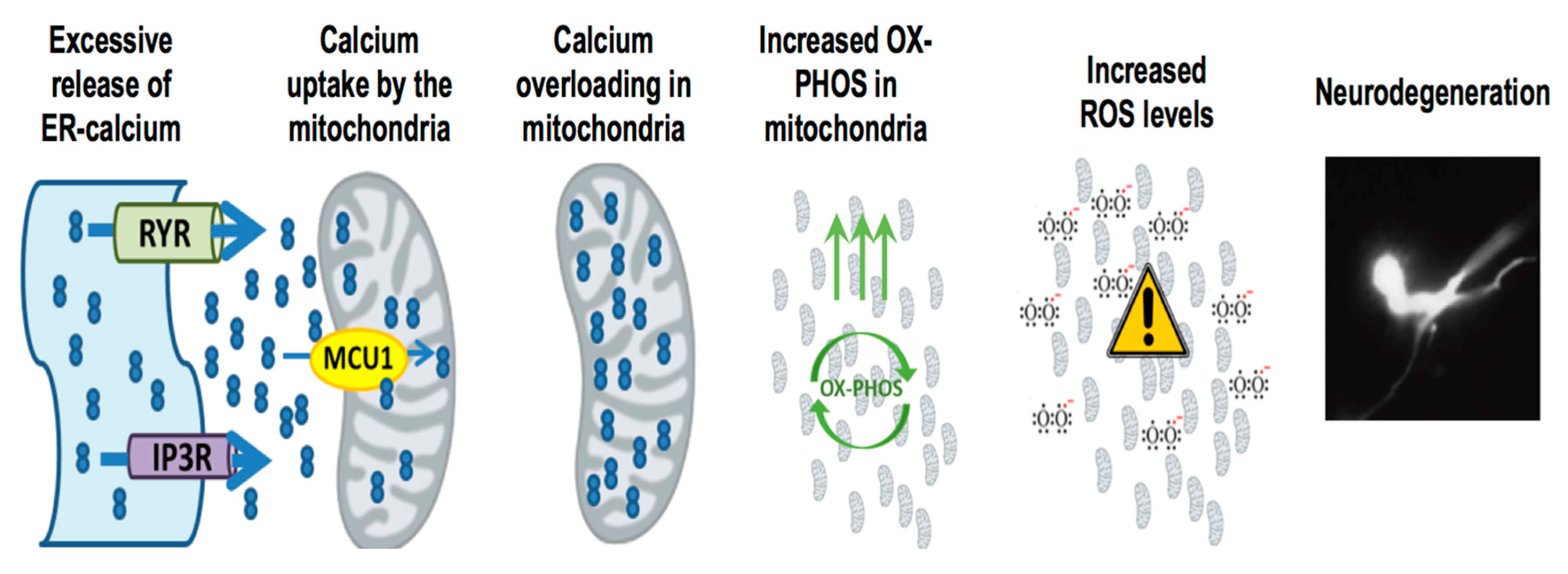 Antioxidants 07 00111 g002