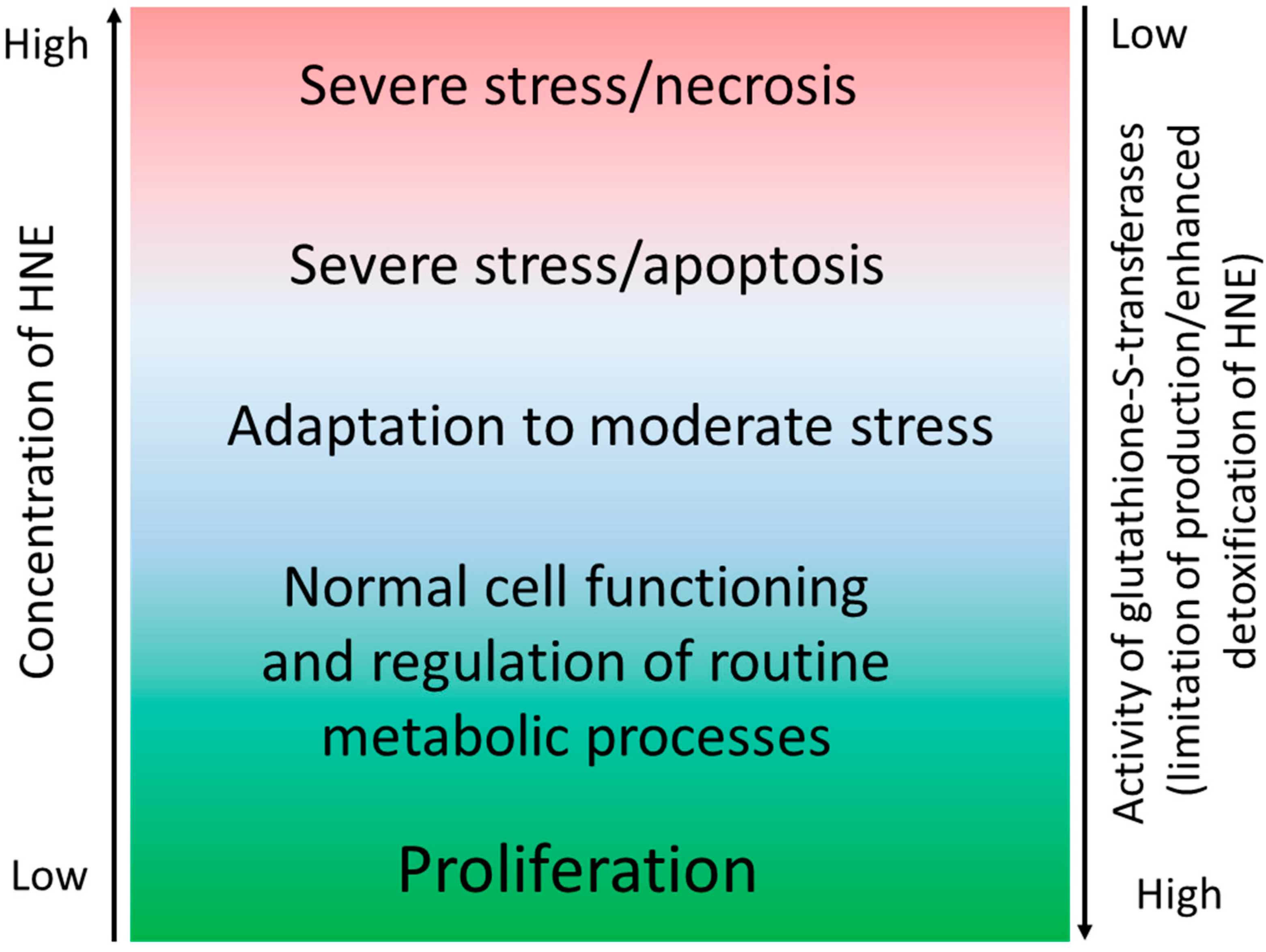 Antioxidants 07 00118 g002