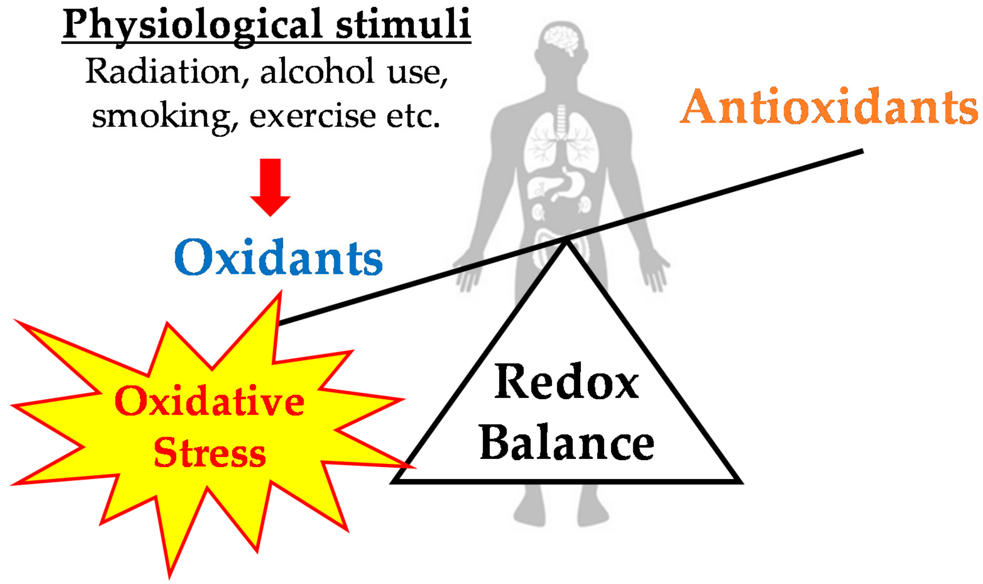Antioxidants | Free Full-Text | Exercise-Induced Oxidative Stress and ...