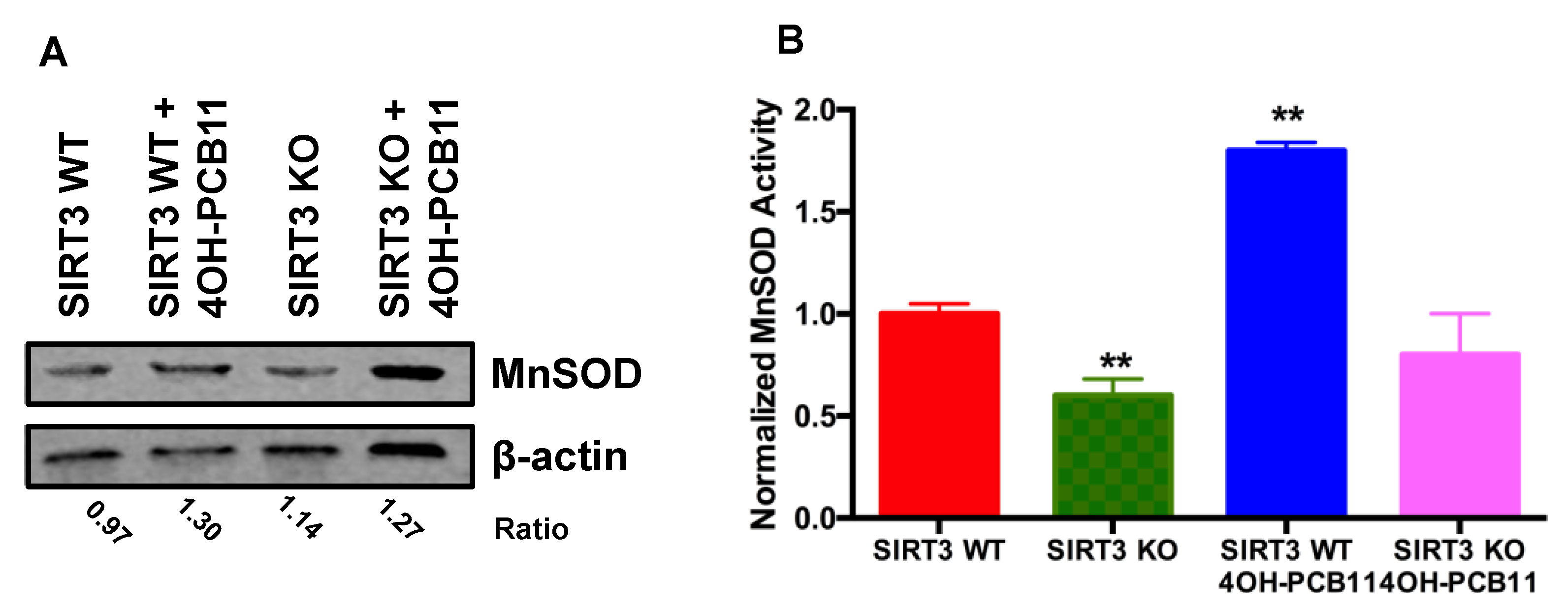 Antioxidants 07 00121 g003